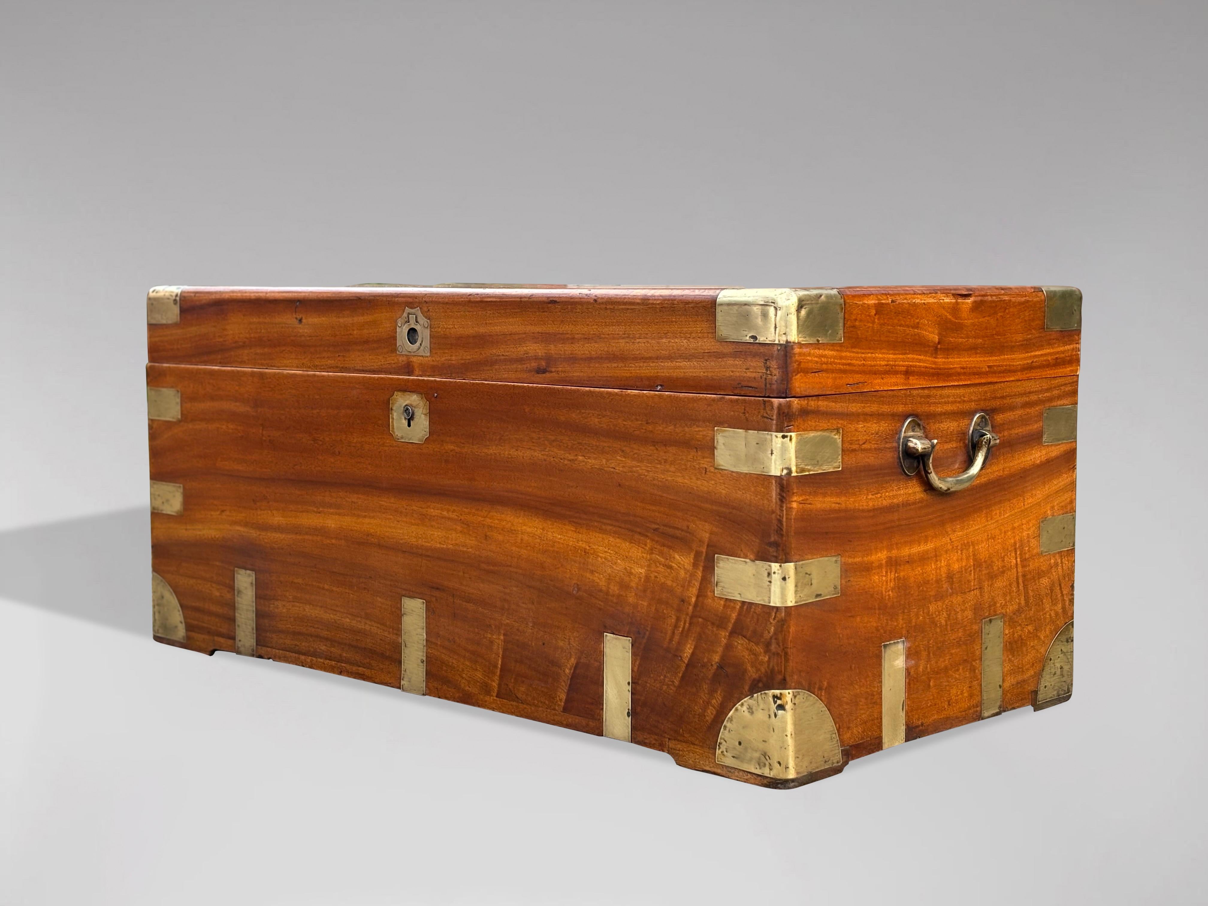 Large 19th Century Camphor Wood Trunk or Chest For Sale 2