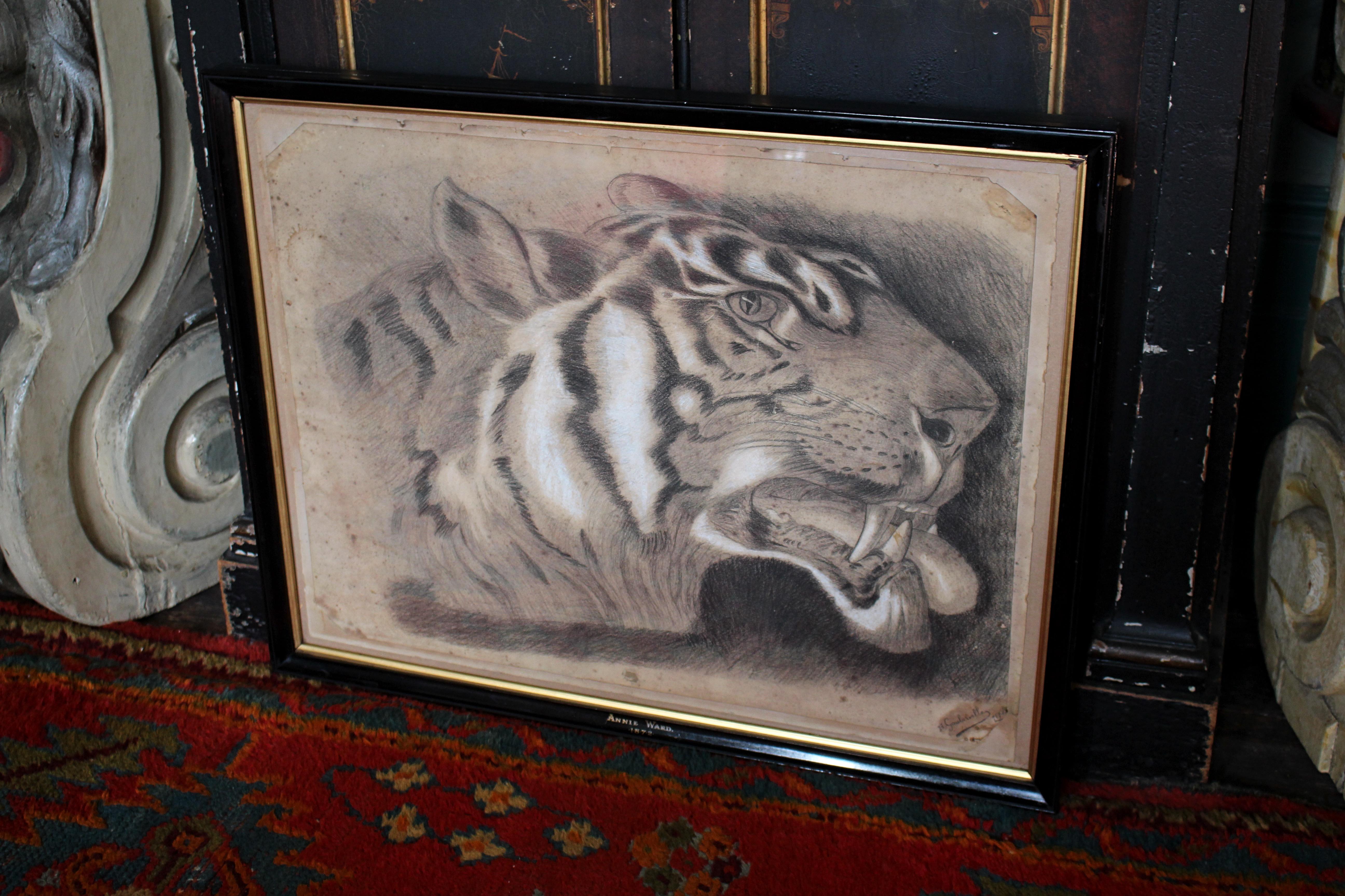 Grande tigre del Bengala a carboncino su carta del XIX secolo, datata 1831, curiosità tassidermica in vendita 5