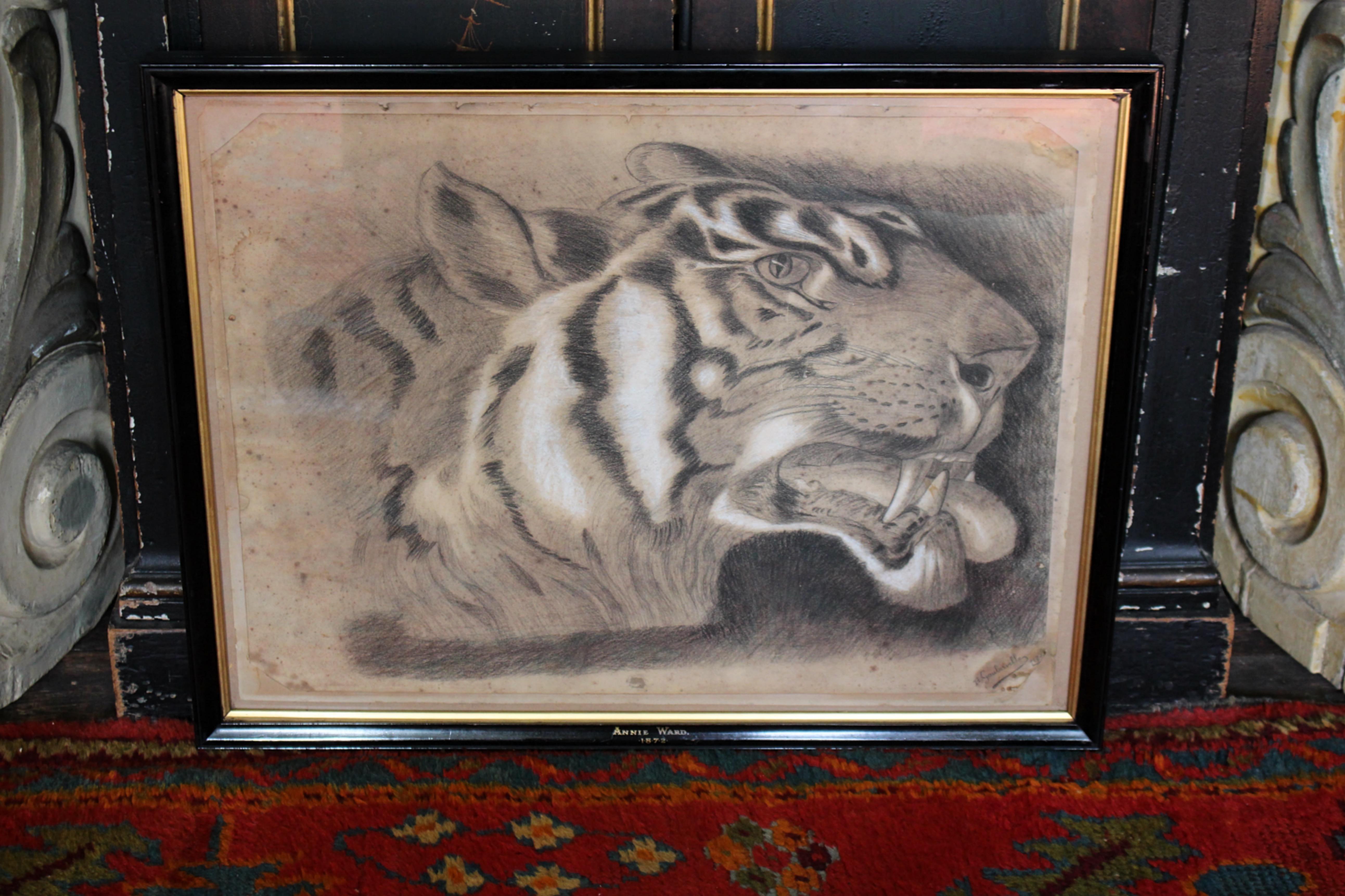 Grande tigre del Bengala a carboncino su carta del XIX secolo, datata 1831, curiosità tassidermica in vendita 7