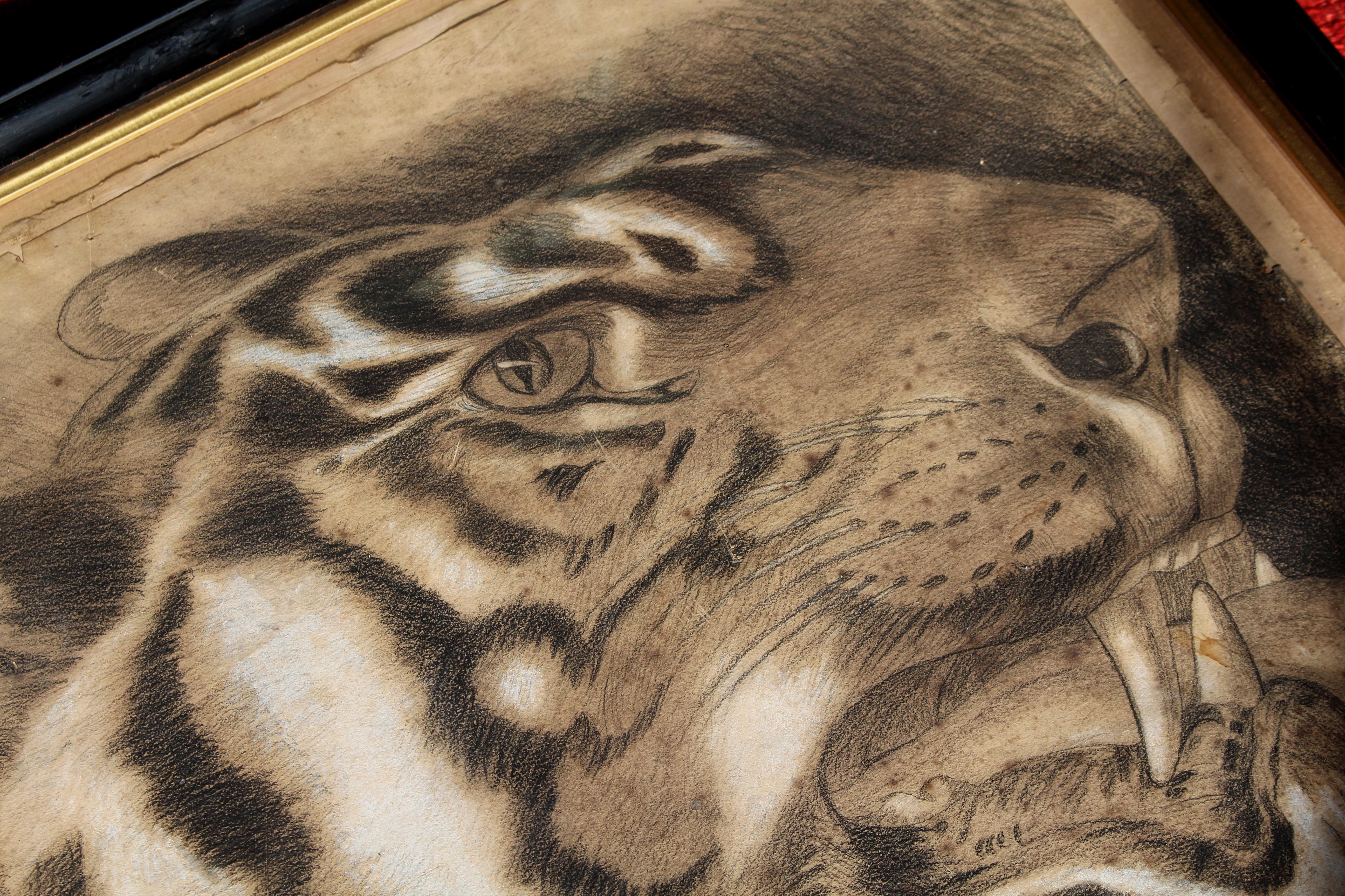 Di dimensioni favolose, carboncino su carta datato e firmato raffigurante una tigre del Bengala. 

Datato 1831, è alloggiato in una semplice cornice d'epoca ebanizzata e dorata. La firma non riesco a decifrarla, ma il pezzo è stato scritto da un