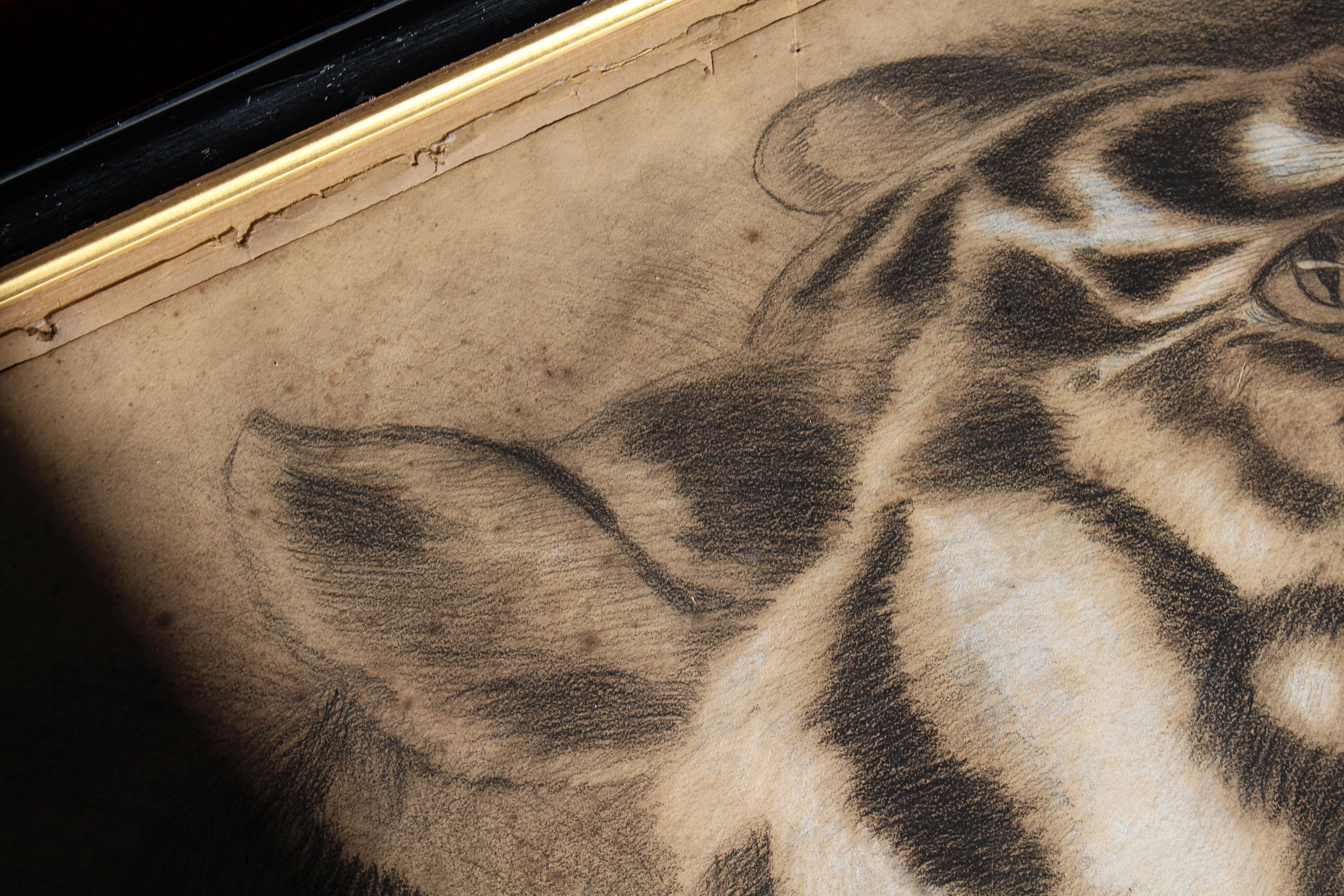 Grande tigre del Bengala a carboncino su carta del XIX secolo, datata 1831, curiosità tassidermica in vendita 1