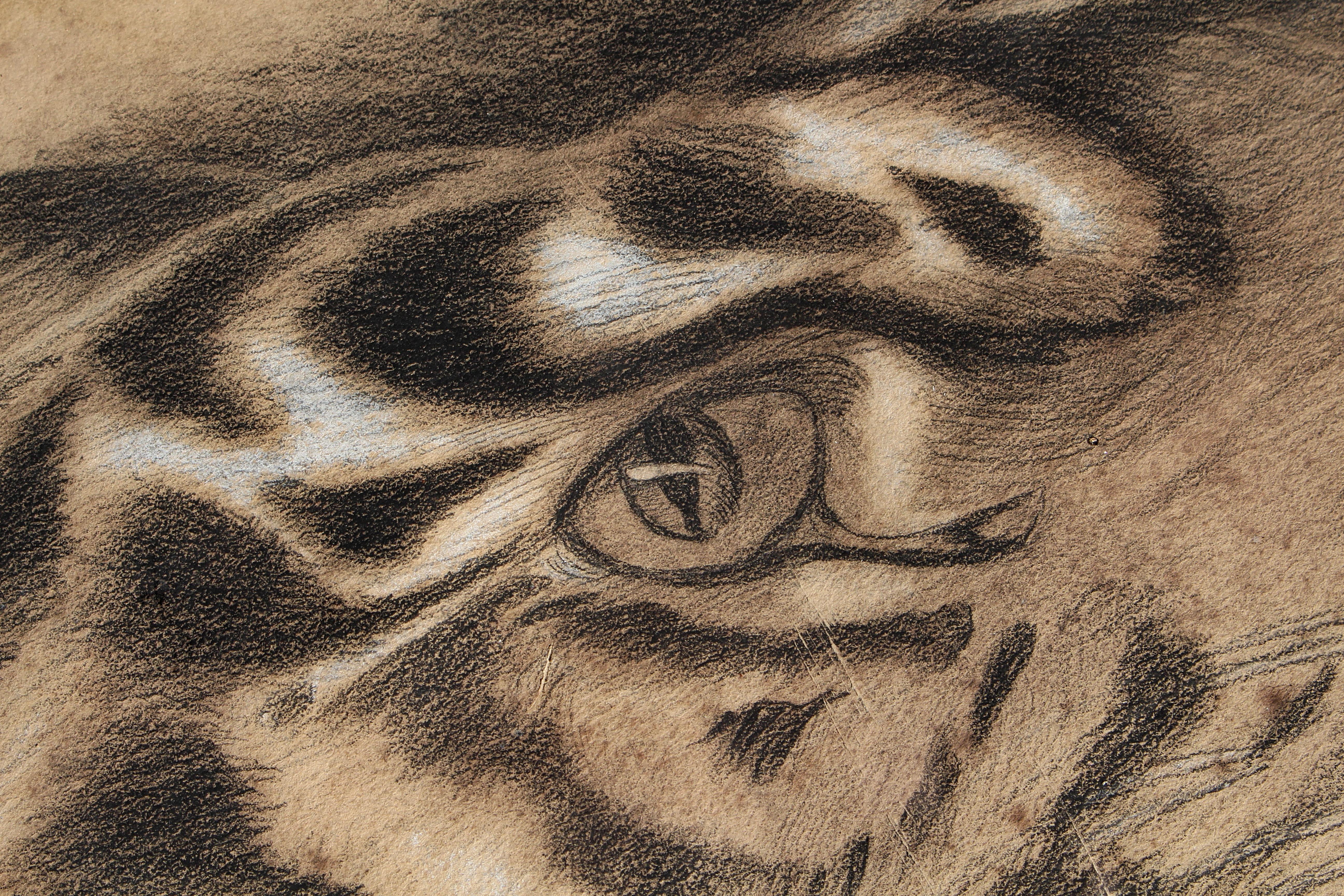 Grande tigre del Bengala a carboncino su carta del XIX secolo, datata 1831, curiosità tassidermica in vendita 2