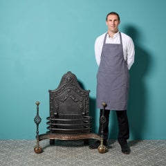 Large 19th Century English Fire Grate with Ball & Claw Feet