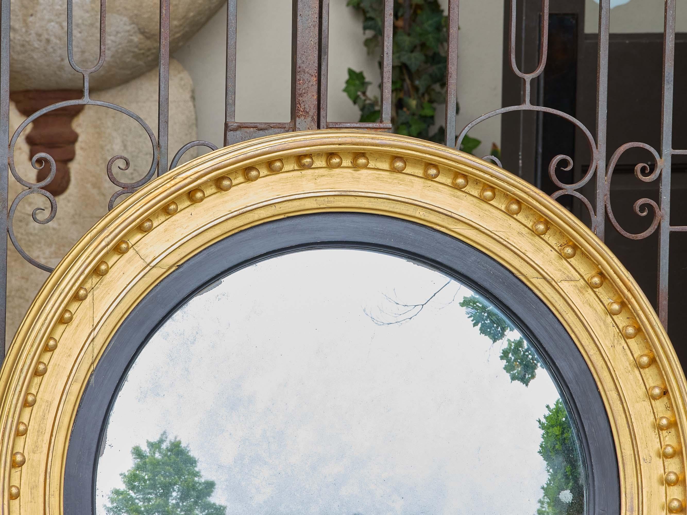 Inglese Grande specchio convesso in legno dorato inglese del XIX secolo con finiture interne ebanizzate in vendita