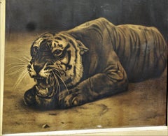 Antique Framed Print of a Tiger