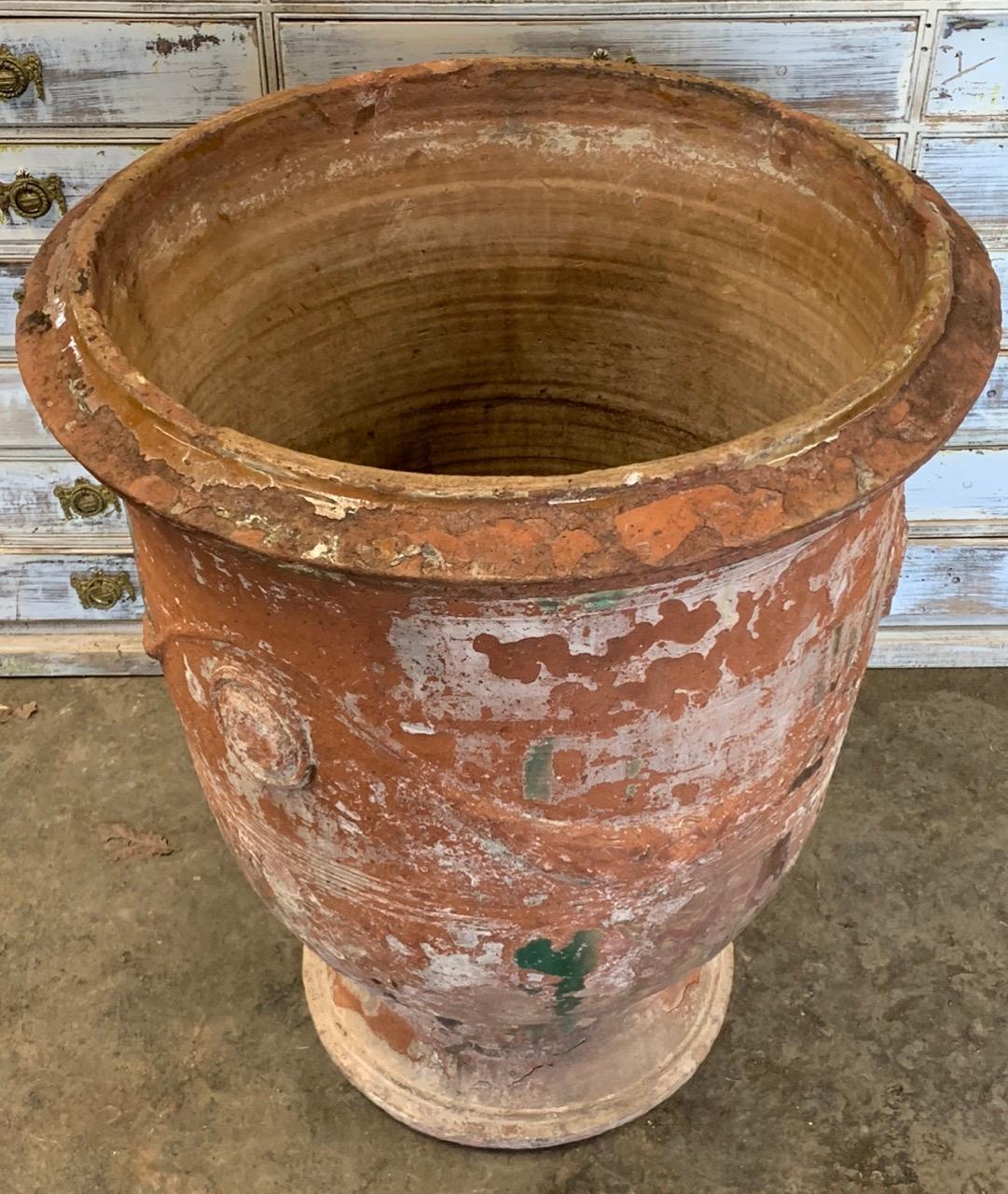 large terracotta urn planter