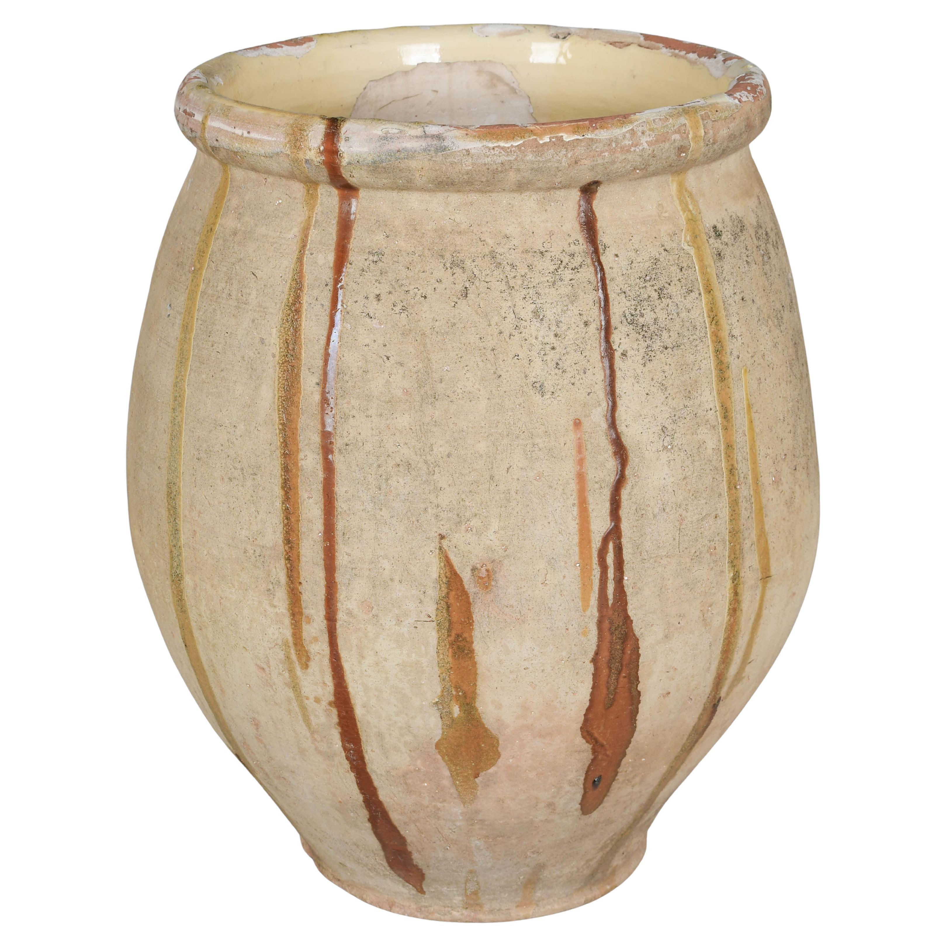 Large 19th Century French Biot Pottery Jar or Planter