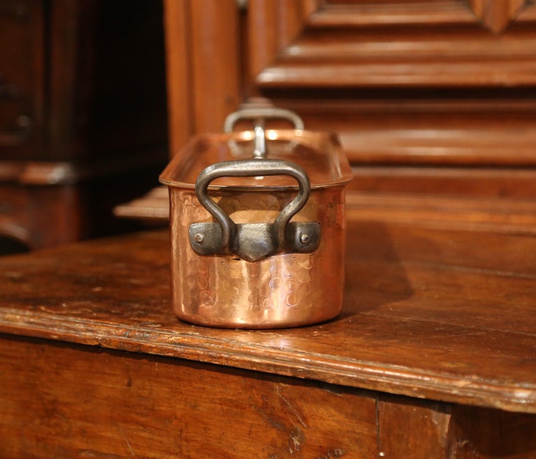 Large 19th Century French Copper Brass Iron Poissonniere or Fish Kettle