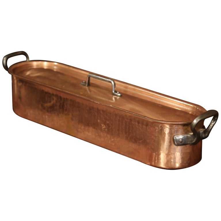 Large 19th Century French Copper Brass Iron Poissonniere or Fish Kettle