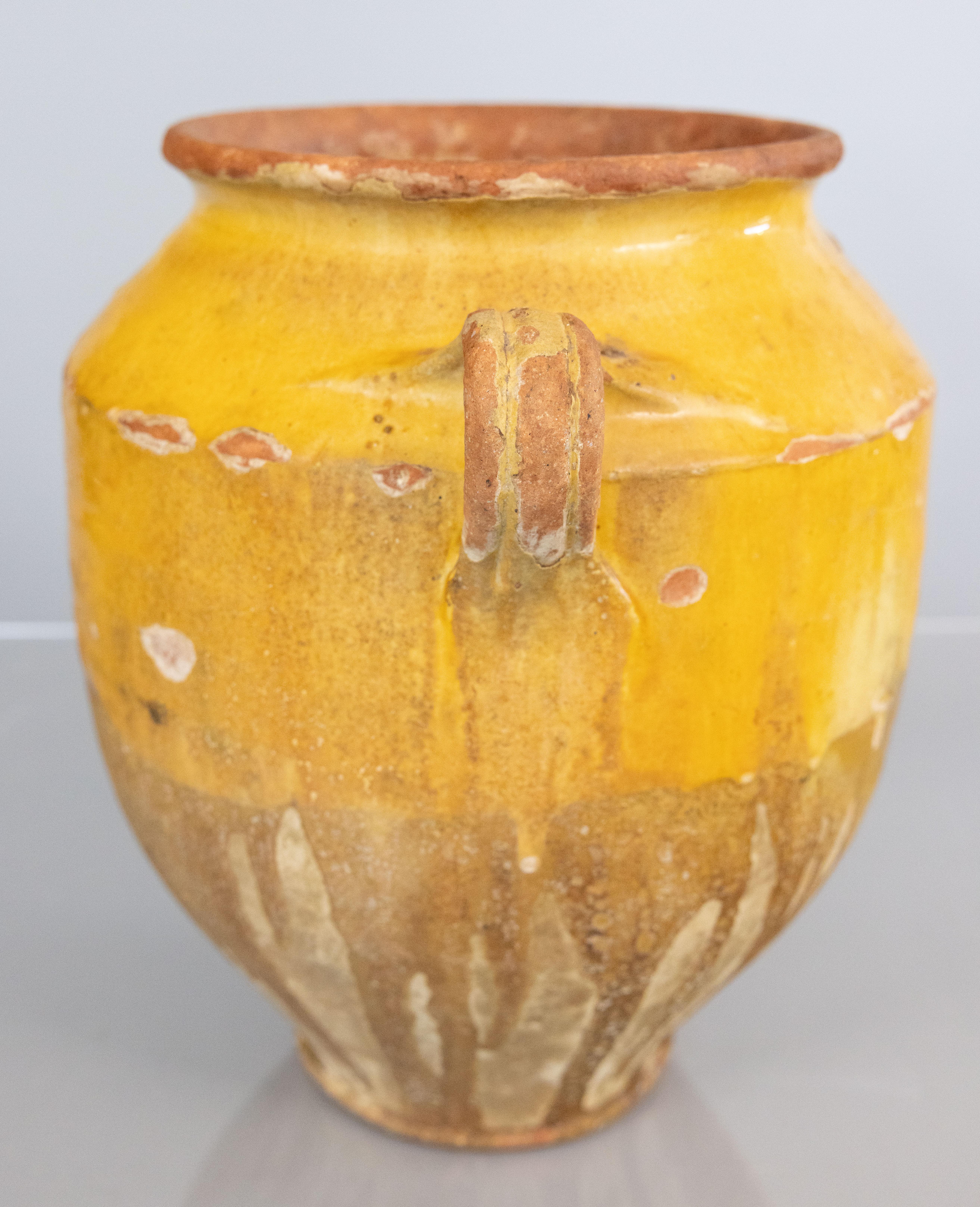 Preciosa confitera francesa antigua del siglo XIX con vidriado amarillo mostaza goteante procedente del sur de Francia, Castelnaudary. Esta maceta o jardinera está hecha a mano con encantadoras asas conocidas como 