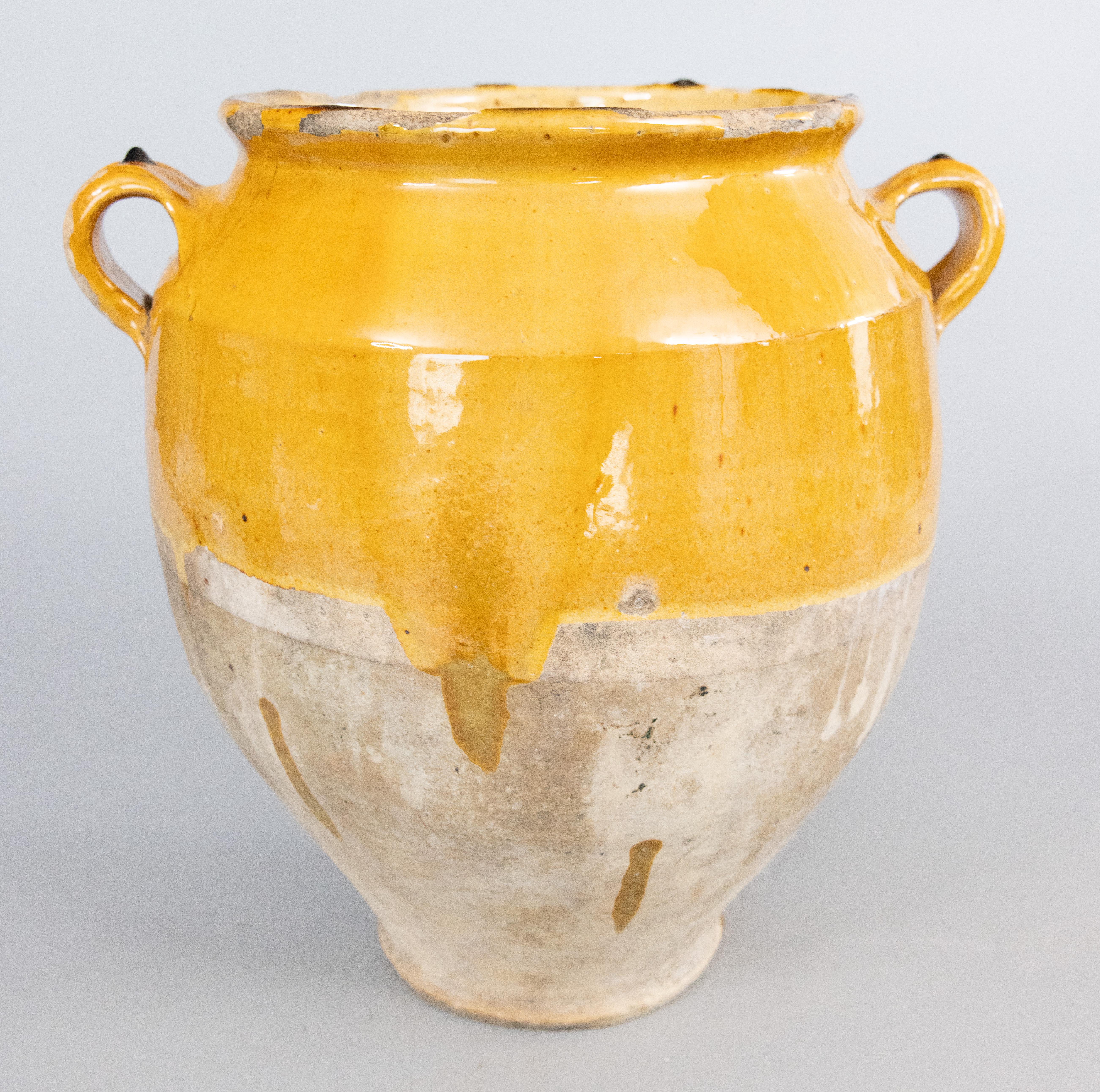 Vernissé Grand pot à confiture jaune émaillé français du 19ème siècle en vente