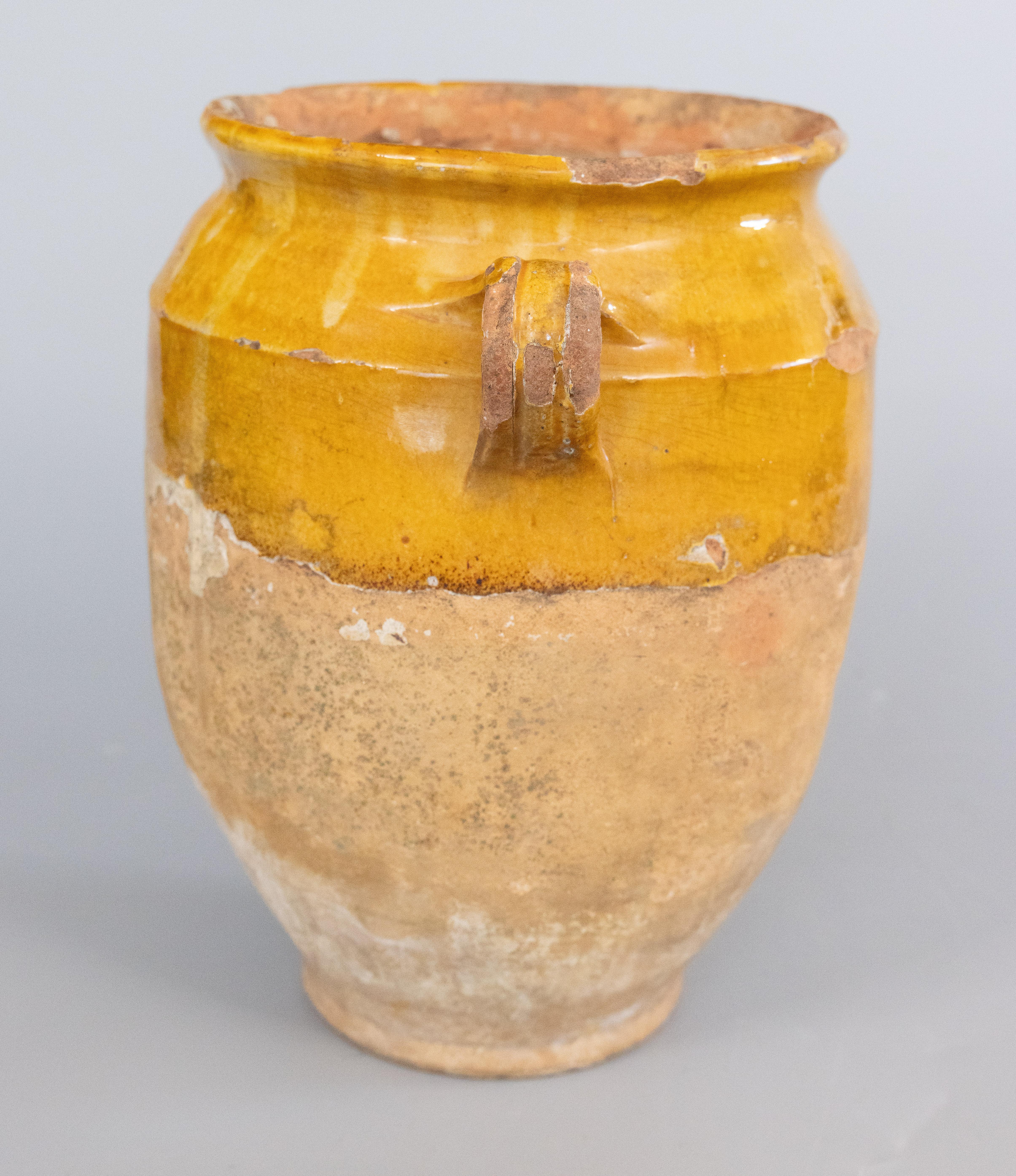 Terracotta Large 19th Century French Glazed Yellow Confit Pot