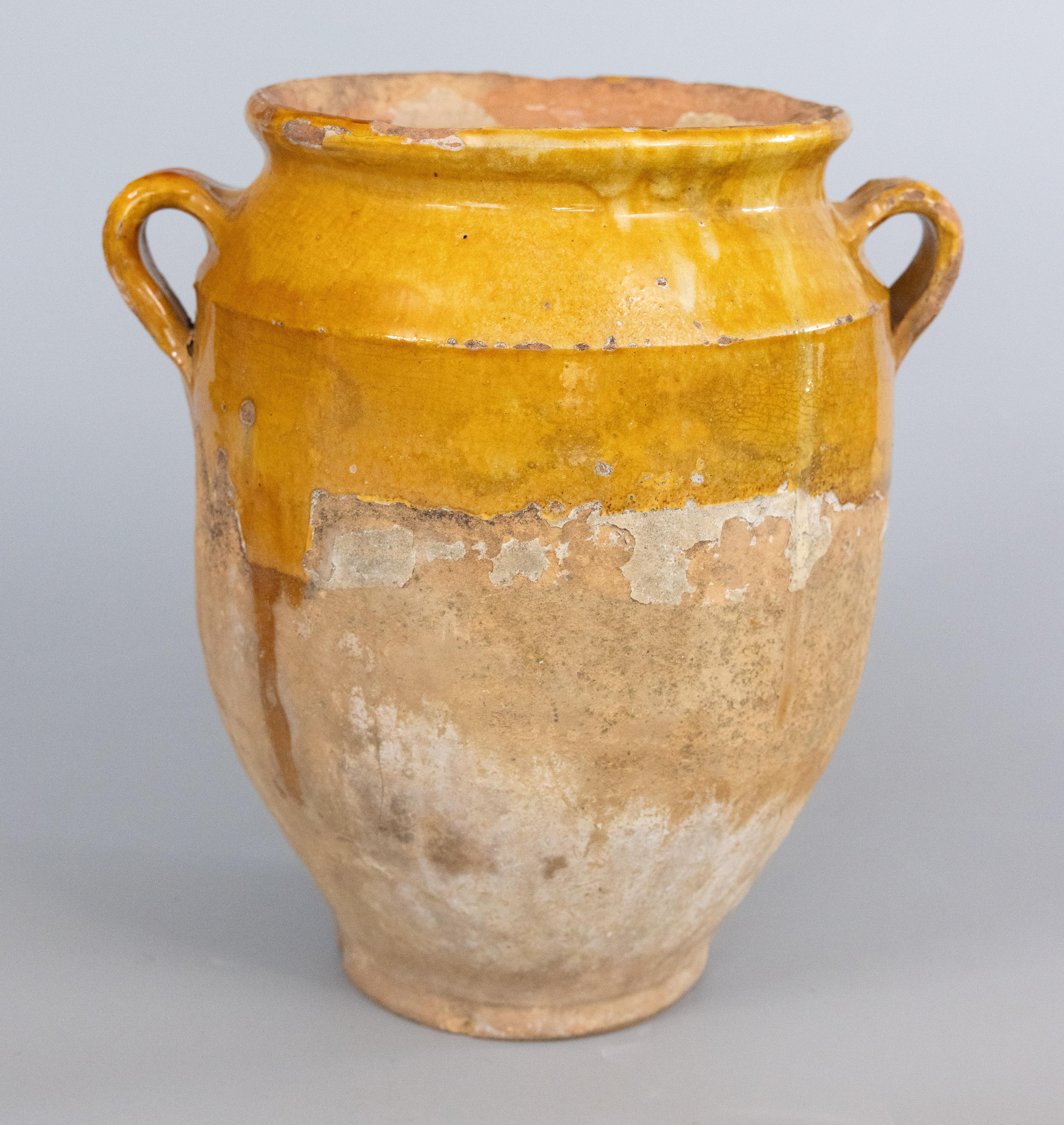 Large 19th Century French Glazed Yellow Confit Pot 4