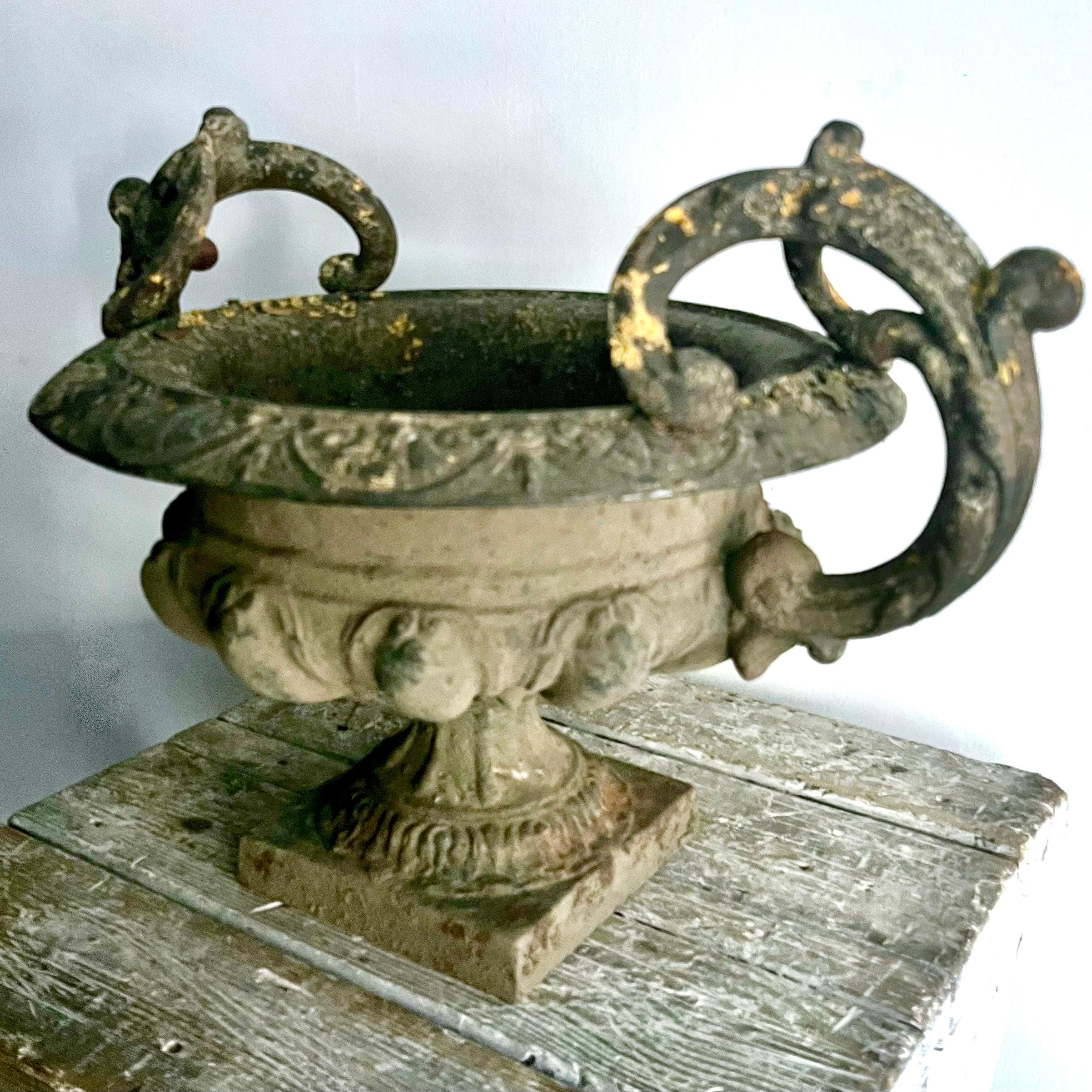 Urna da giardino francese del XIX secolo in ferro con manici impreziositi da decorazioni a foglie e fiori. Ampio bordo largo con motivo smerlato a uovo e freccetta -  su base quadrata.