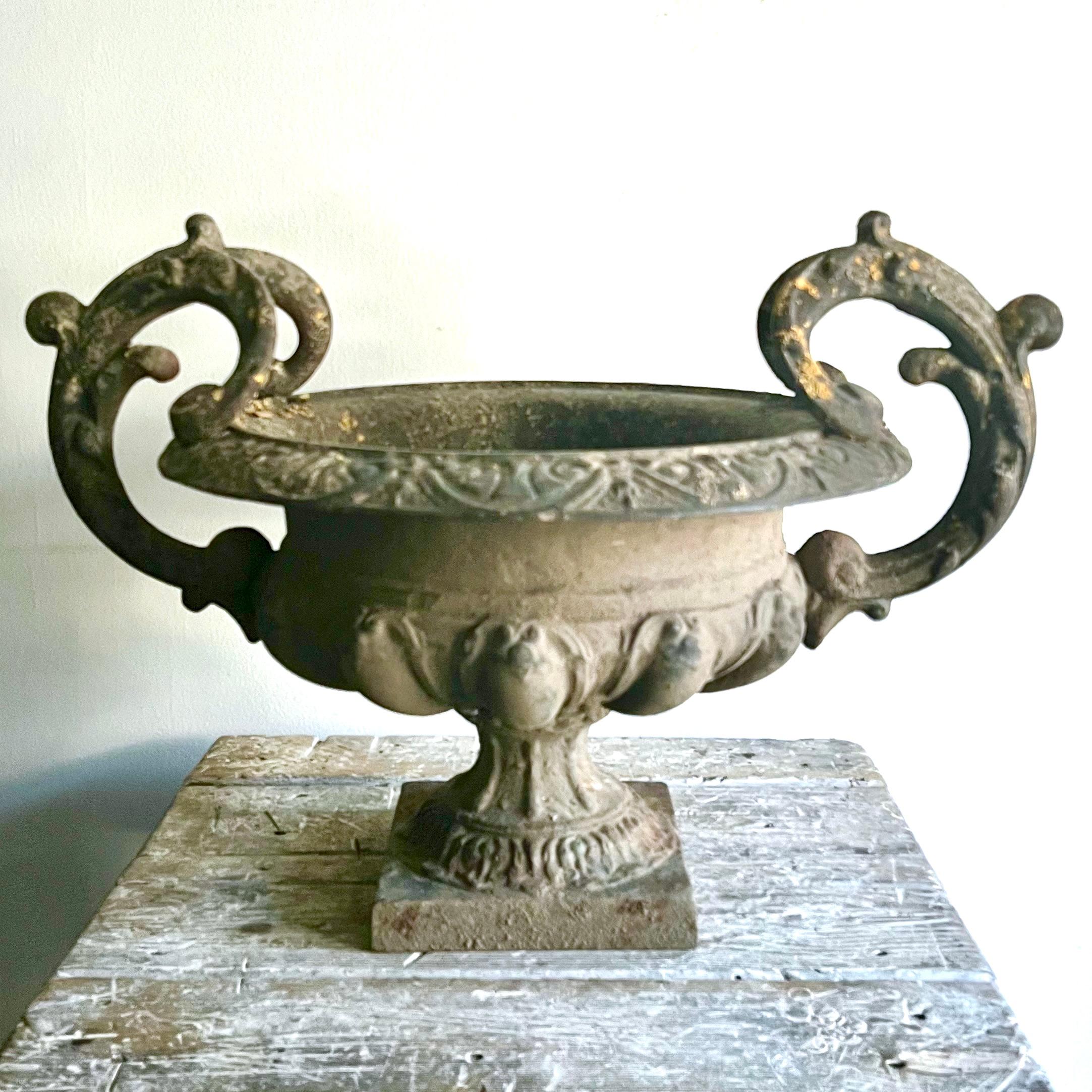 Francese Grande urna da giardino francese del XIX secolo in ferro con manici decorati a volute in vendita