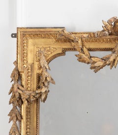 Large 19th Century French Louis XVI Style Gilt Mirror