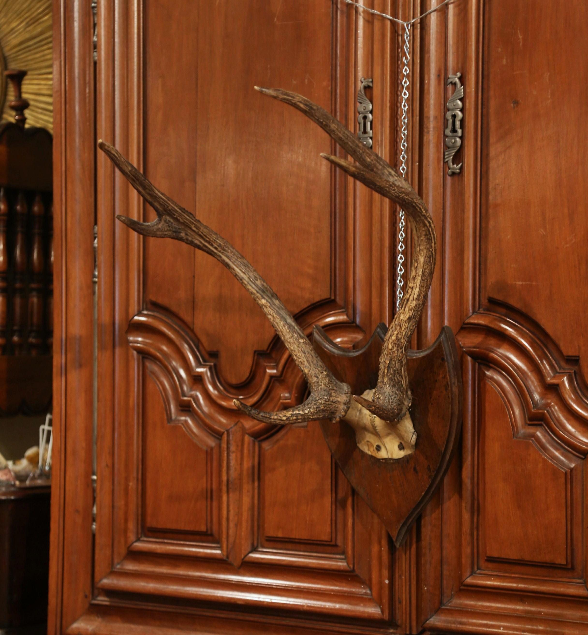 Create a rustic style in your home or ranch house with these wall-mounted deer antlers. From Normandy, France, circa 1870, this large, six-pointer deer trophy has a thick girth and was mounted on a carved, walnut plaque so that it can be hung