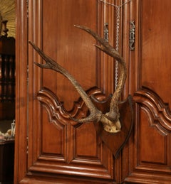 19th Century French Mounted Deer Antler Trophy on Carved Walnut Plaque