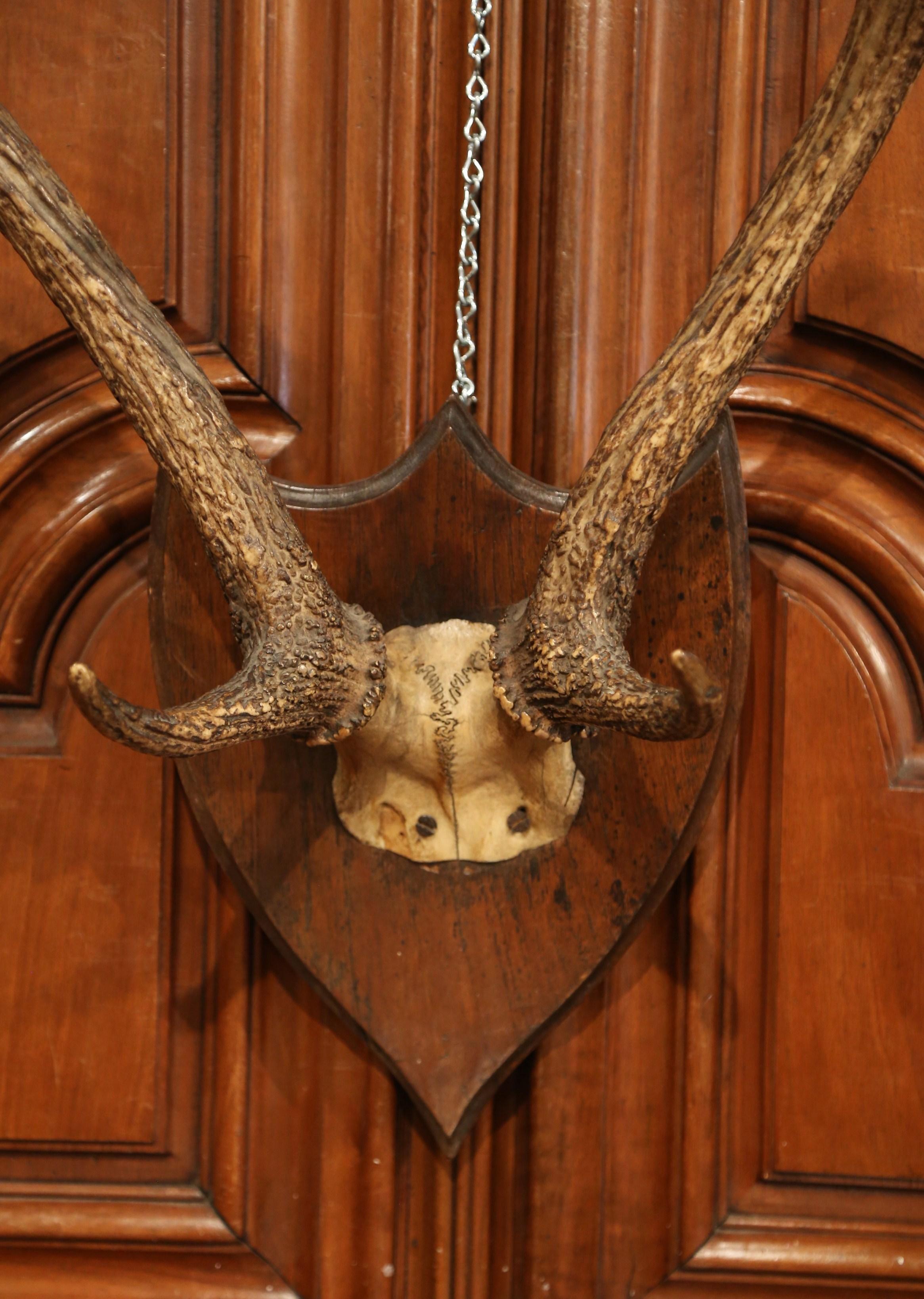 french mount deer