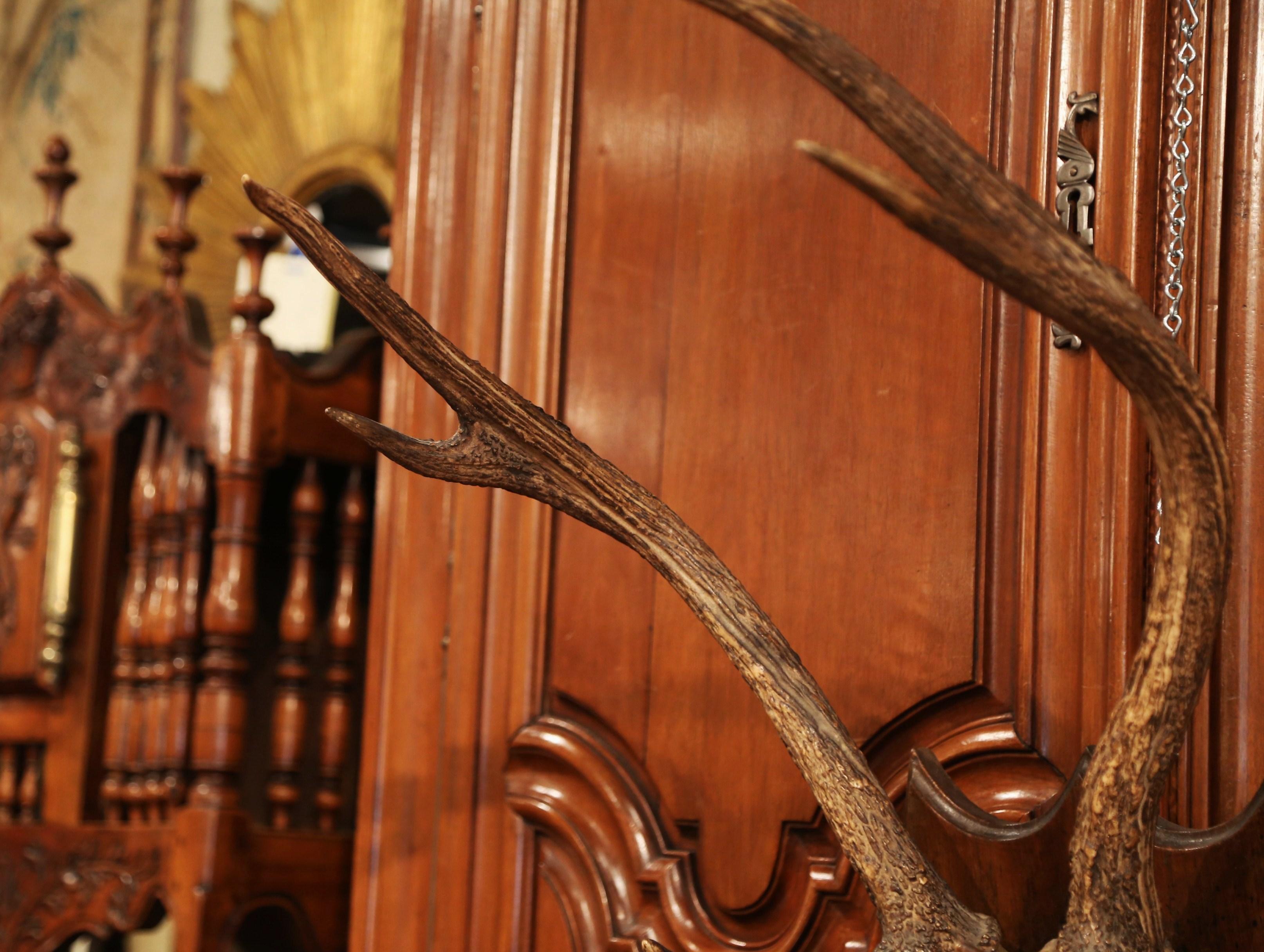 Hand-Carved 19th Century French Mounted Deer Antler Trophy on Carved Walnut Plaque