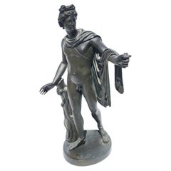 Large 19th Century Grand Tour Bronze Sculpture of Apollo Belvedere