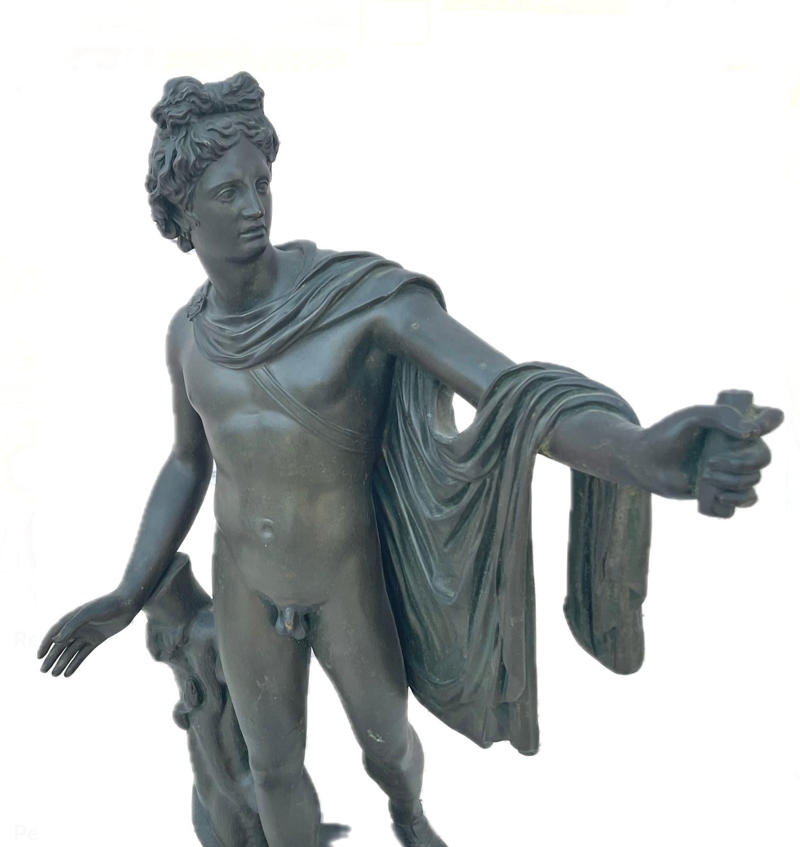 Large 19th Century Grand Tour Bronze Sculpture of Apollo Belvedere 2