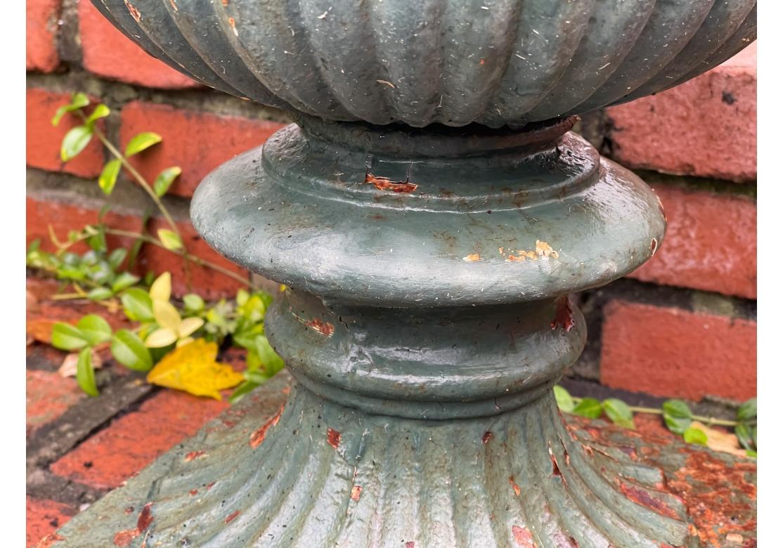 Neoclassical Large 19th Century Green Paint Garden Urn For Sale