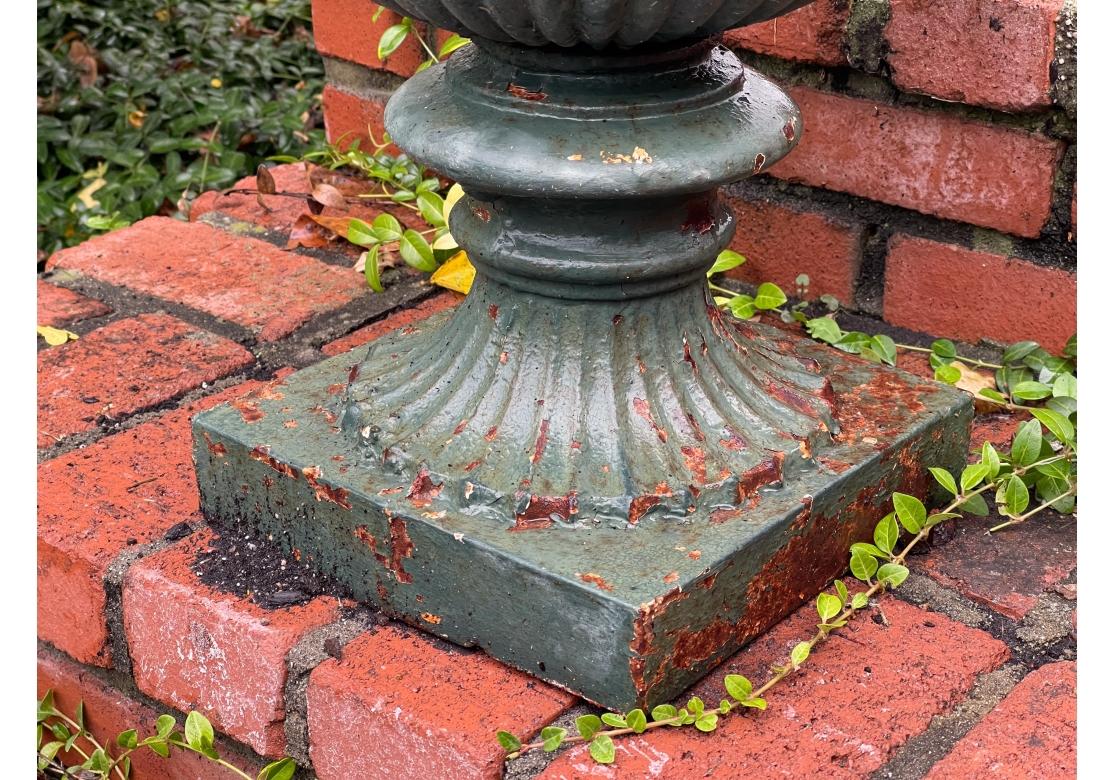 Large 19th Century Green Paint Garden Urn For Sale 4