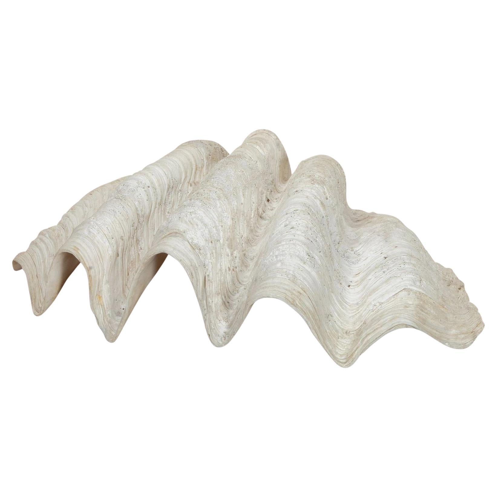 Large 19th Century Indonesian Clam Shell For Sale