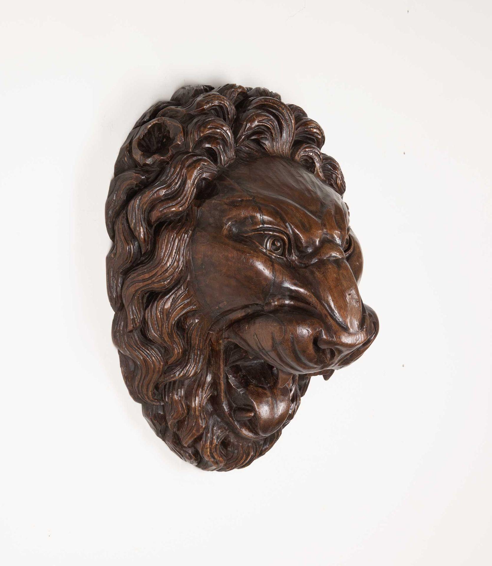 Gran Máscara de Pared de León Tallado Italiano del Siglo XIX De campo en venta