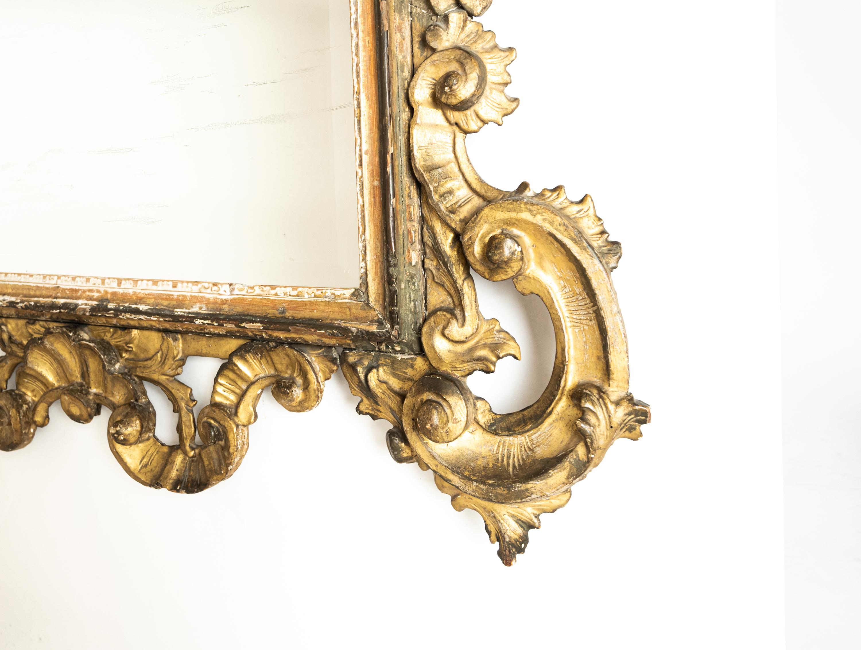 Rococo Large 19th Century Italian Hand Carved Mirror For Sale