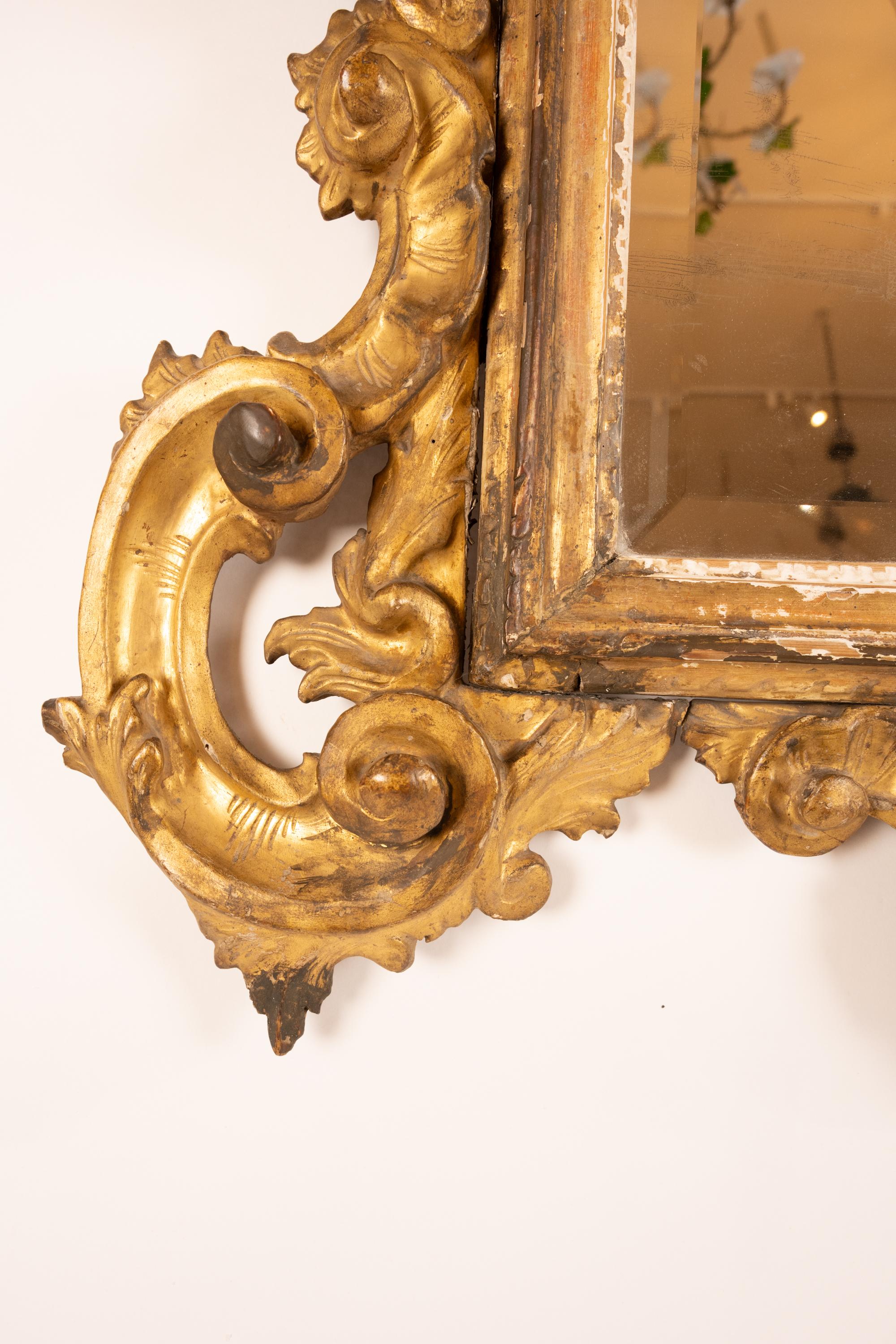 Large 19th Century Italian Hand Carved Mirror For Sale 1