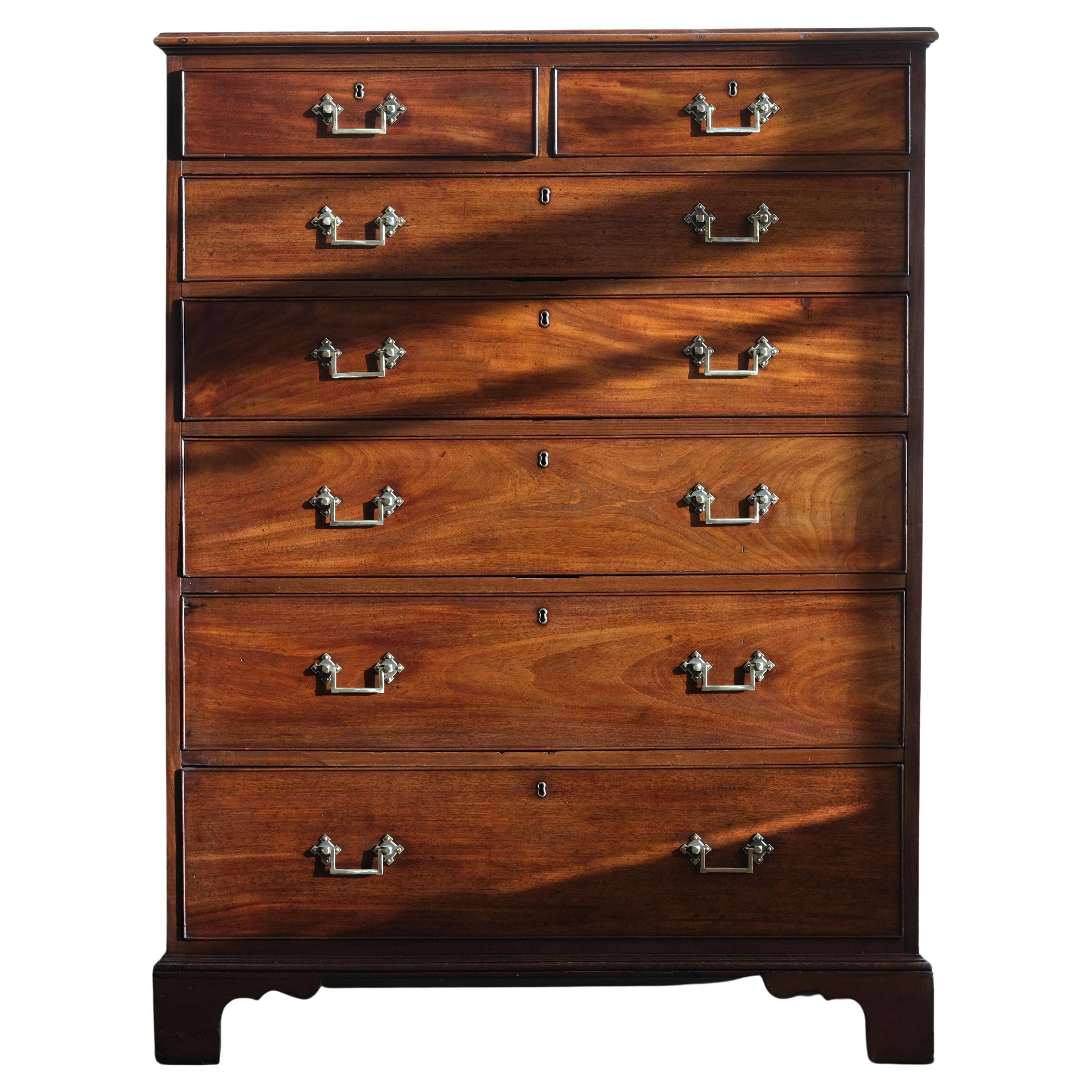 Large 19th Century Mahogany Chest of Drawers For Sale