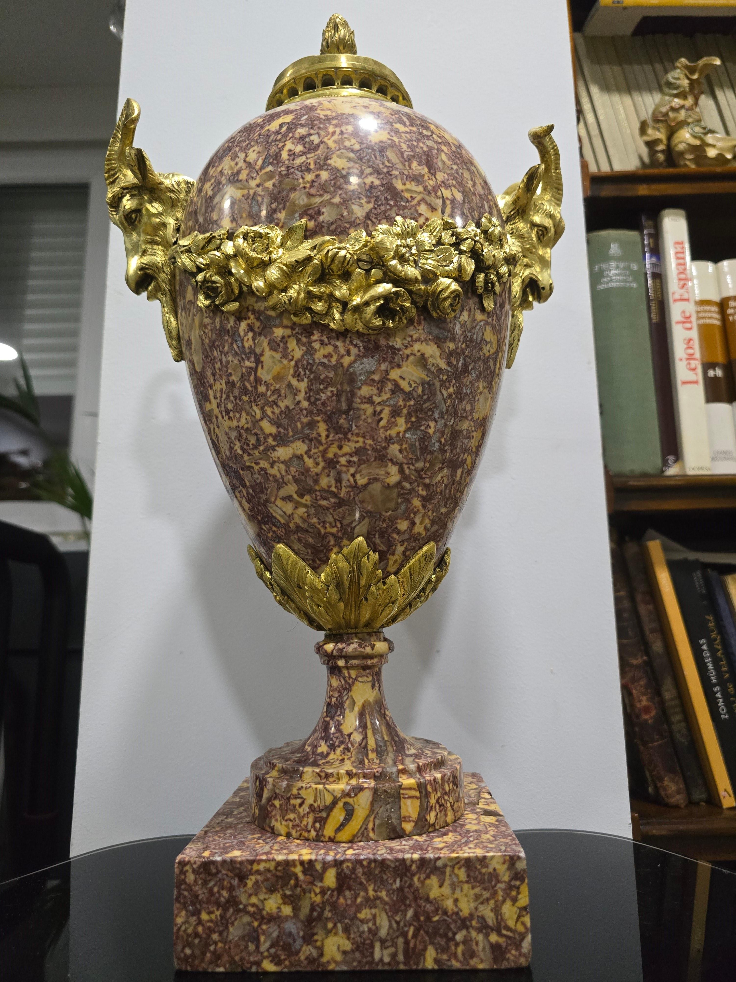 Questo vaso decorativo francese, realizzato in bronzo dorato e marmo Royal Rouge, è una testimonianza dell'eleganza del XIX secolo. In buone condizioni, ha un'altezza di 50 cm e un diametro di 28 cm.

Questo vaso, che adorna qualsiasi spazio con la