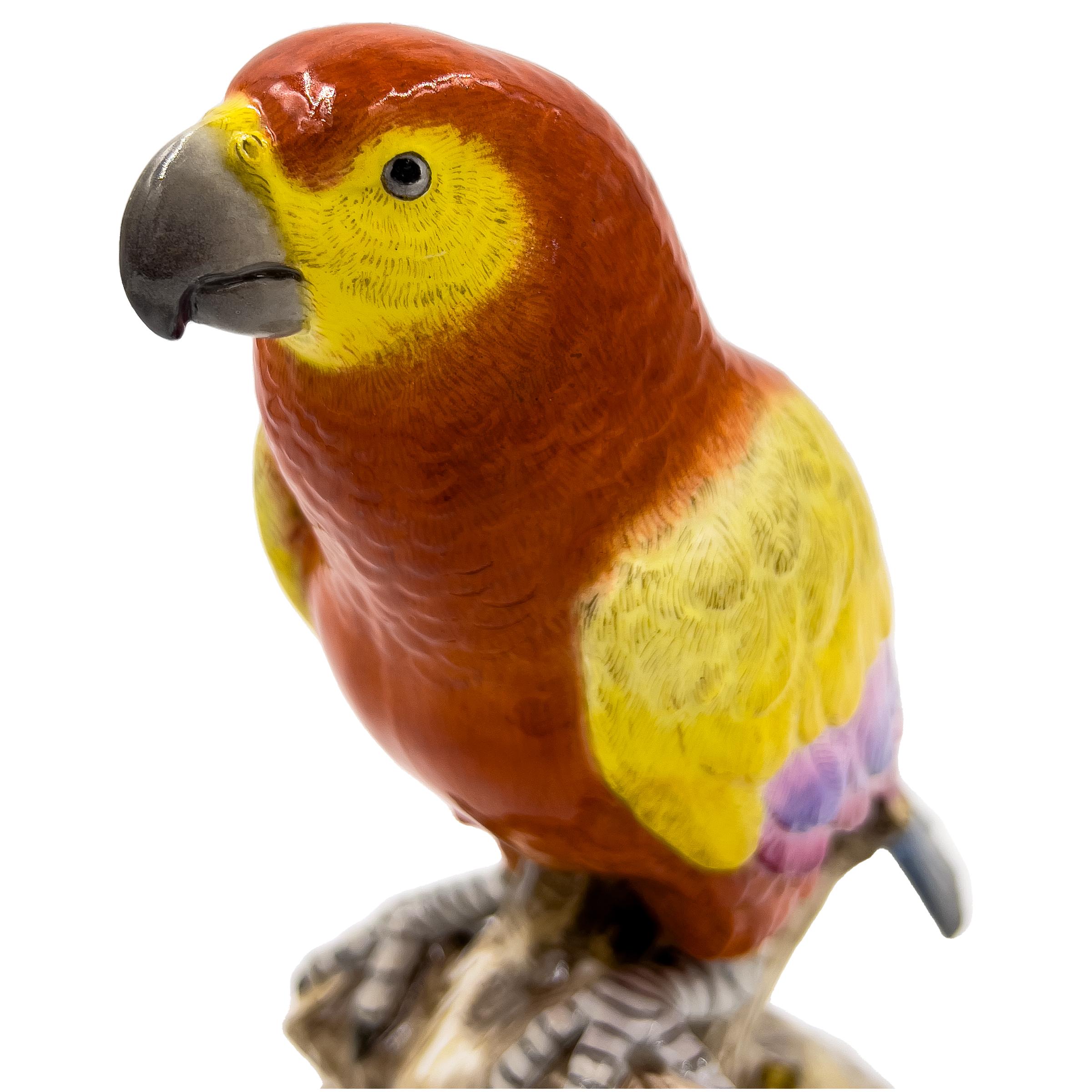 Large 19th Century Meissen Figure of a Multi-Coloured Parrot  For Sale 1