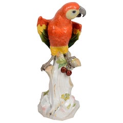 Large 19th Century Meissen Porcelain Parrot