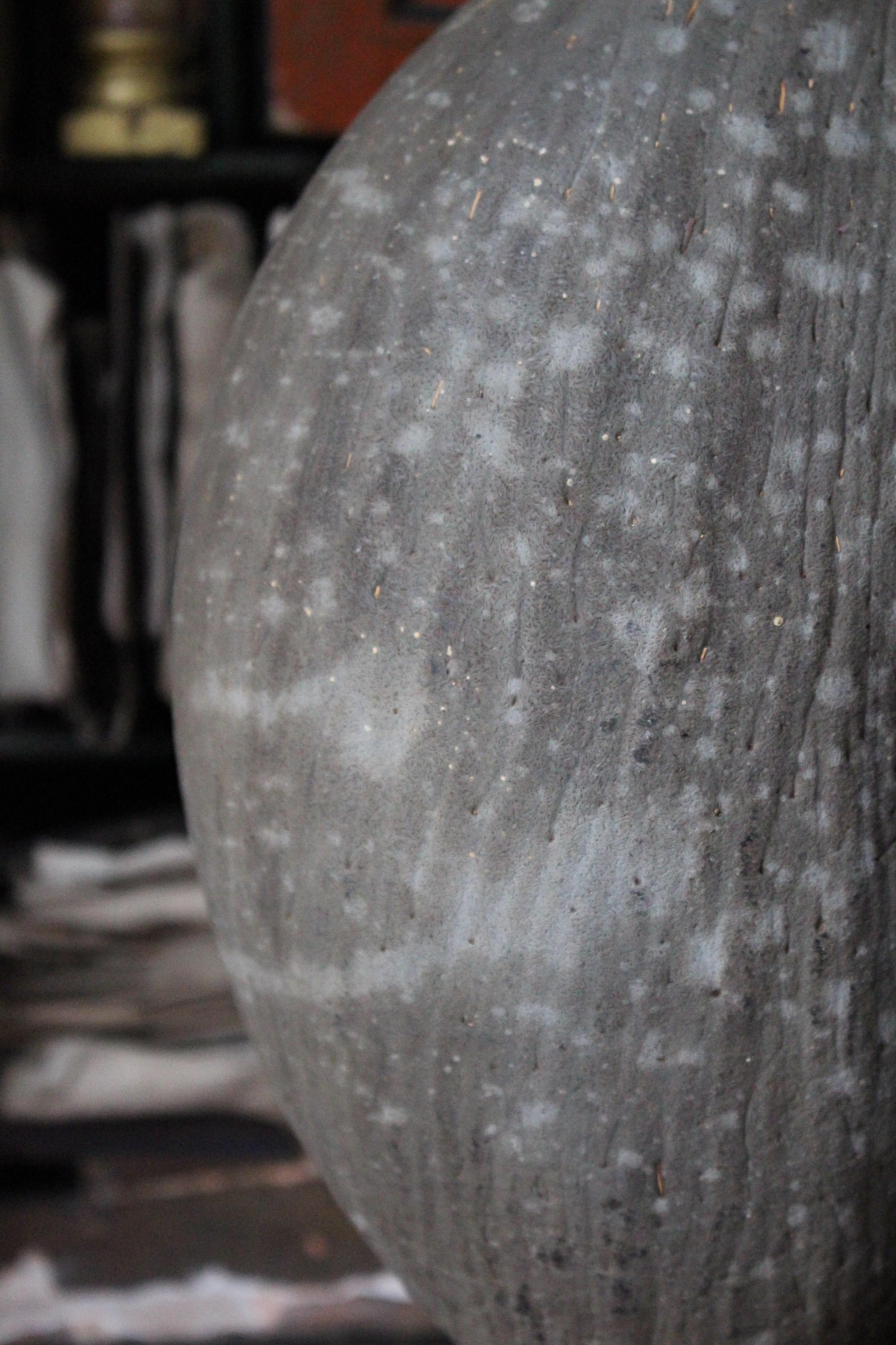 Velvet Large 19th Century Mottled  Coco De Mer & Glass Dome Maritime Sailors Curio