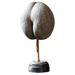 Large 19th Century Mottled Coco De Mer on Stand Maritime Sailors Curio