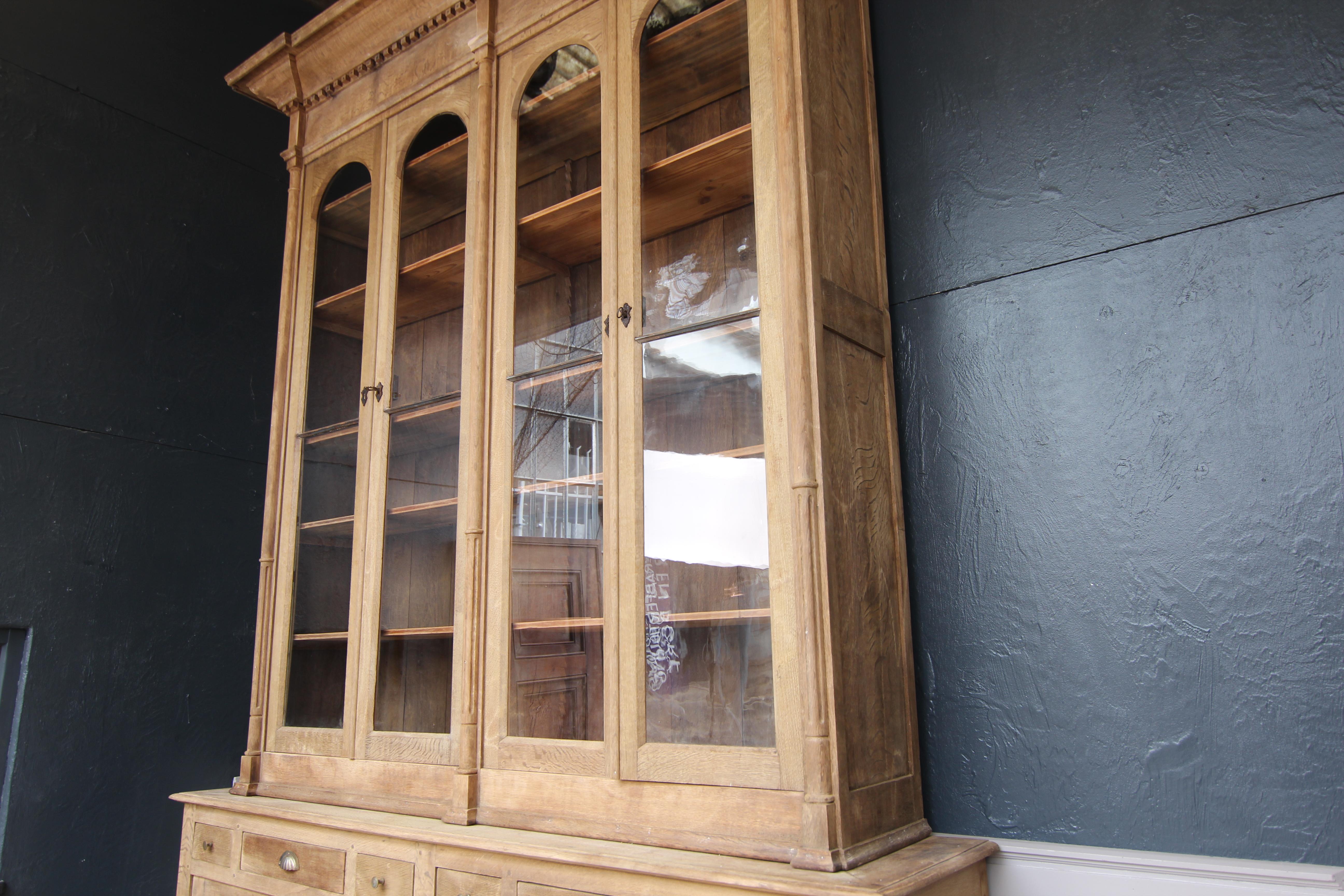 Large 19th Century Oak Vitrine Cabinet or Bookcase 2