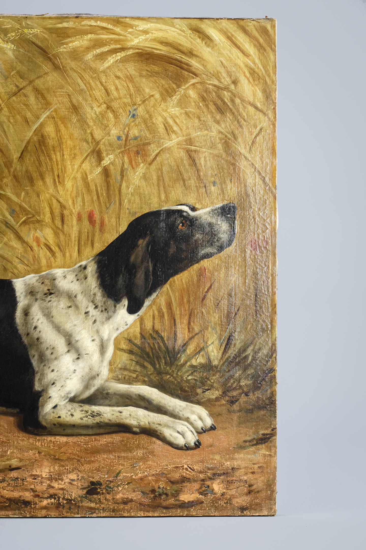 Striking large scale oil on canvas of an English Pointer appearing to hold down a point, rather than on point, his nose is up picking scent but resting on his haunches. 

Regarded as one of the finest hunting breeds, bred to 