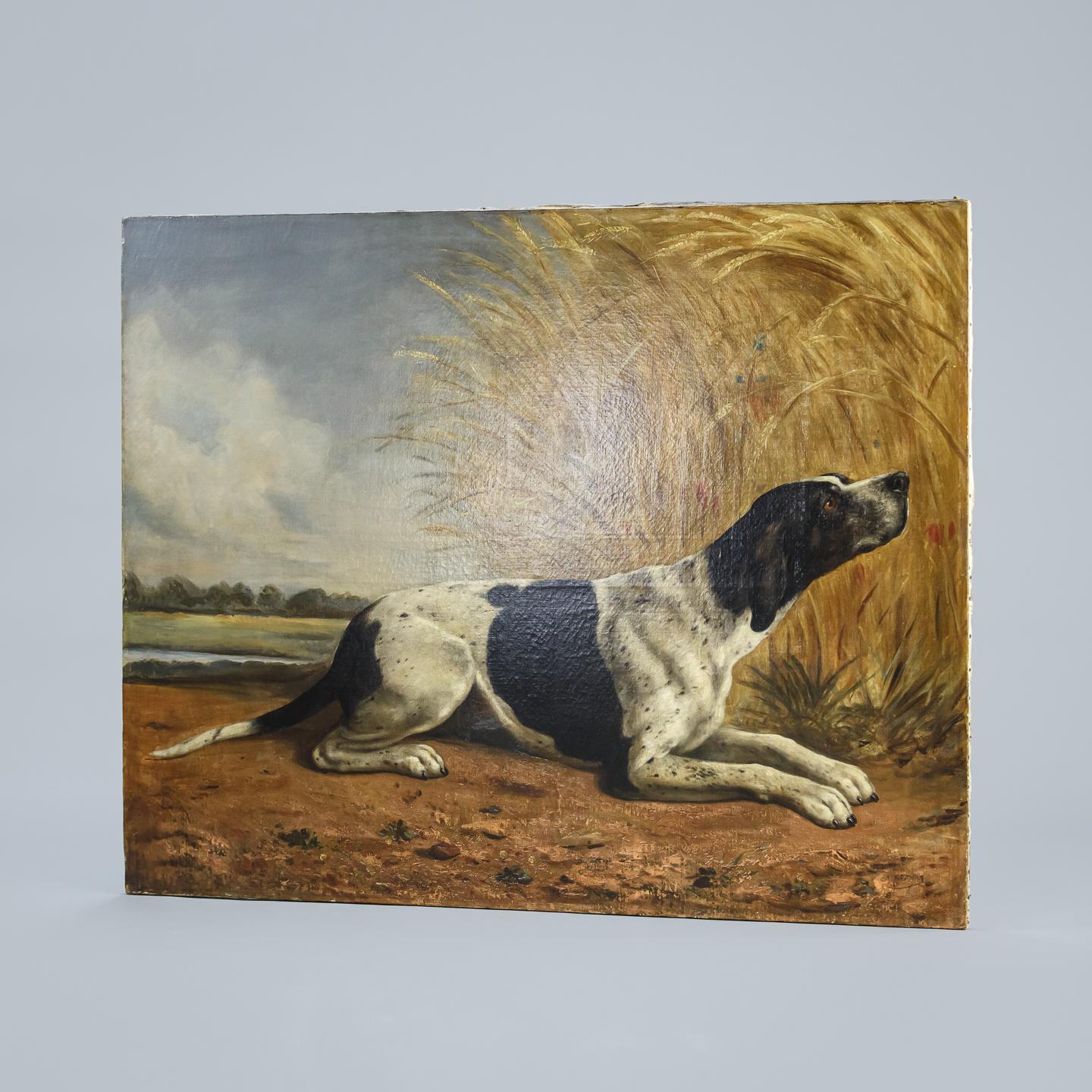 Large 19th Century Oil on Canvas Dog Portrait of English Pointer 2