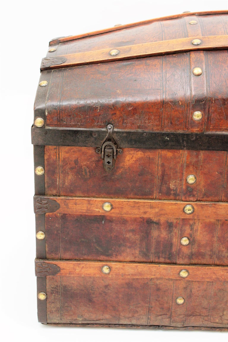 Large 19th Century Portuguese Dome Top Leather Steamer Trunk For Sale at 1stdibs