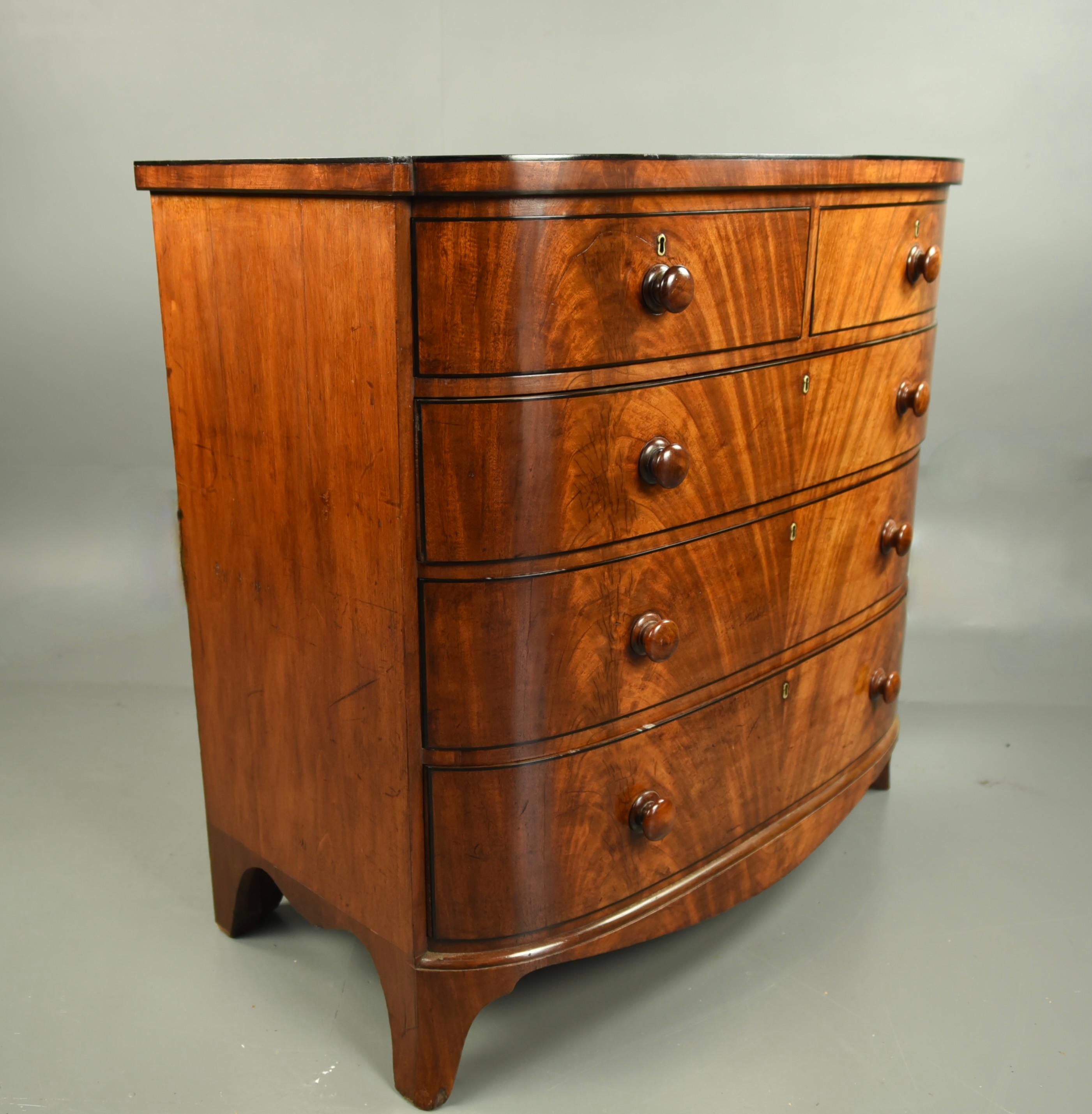 Early 19th Century large 19th century Regency bow front chest of drawers