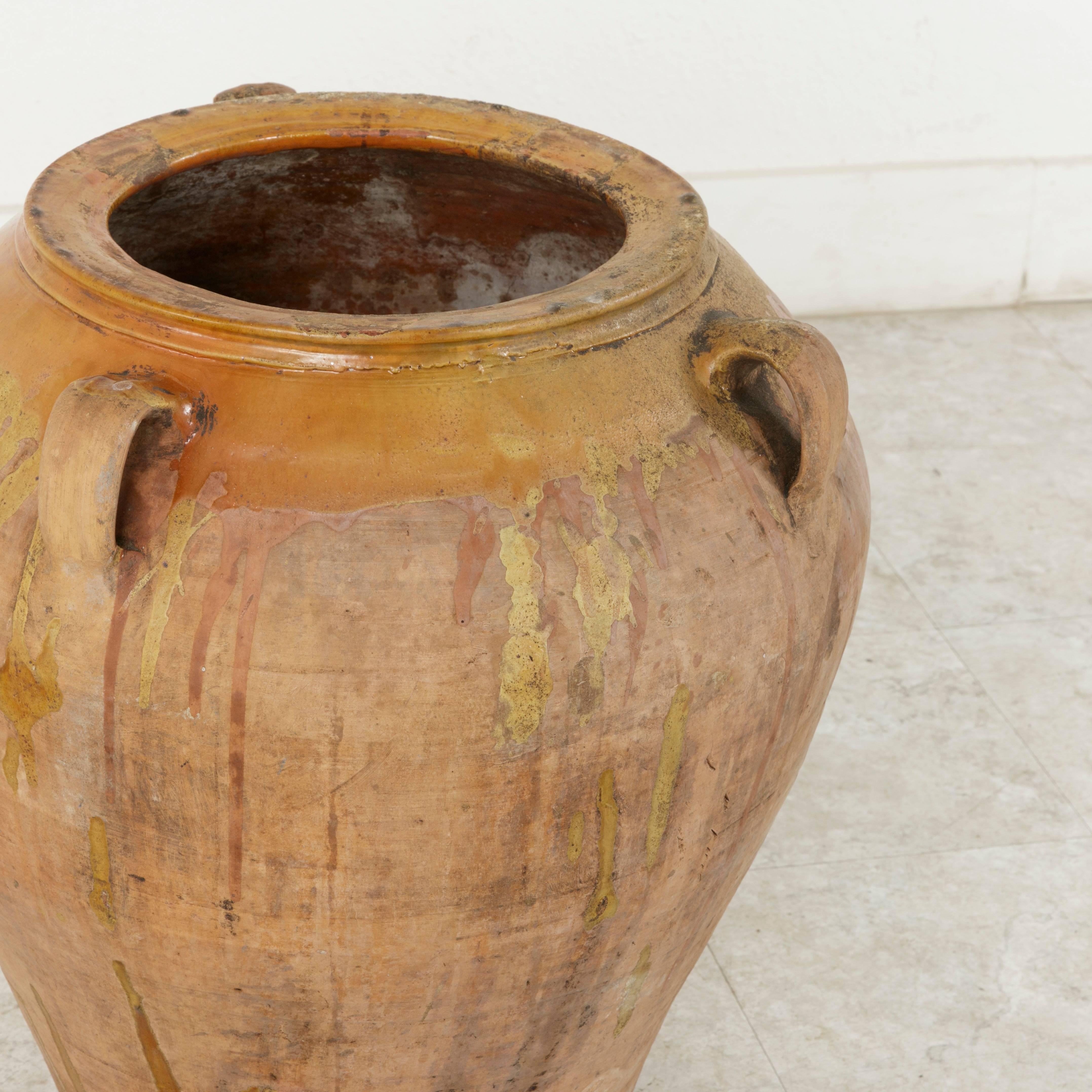 Large 19th Century Spanish Catalan Terracotta Olive Jar or Urn with Yellow Glaze 6
