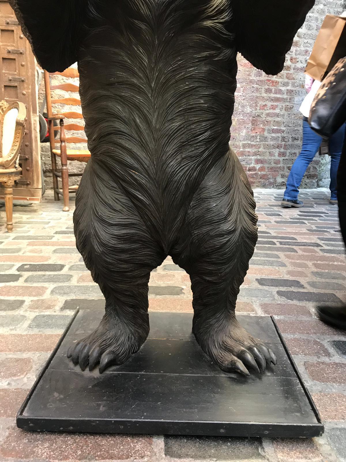 Large 19th Century Statue of a Black Forest Wooden Bear 4