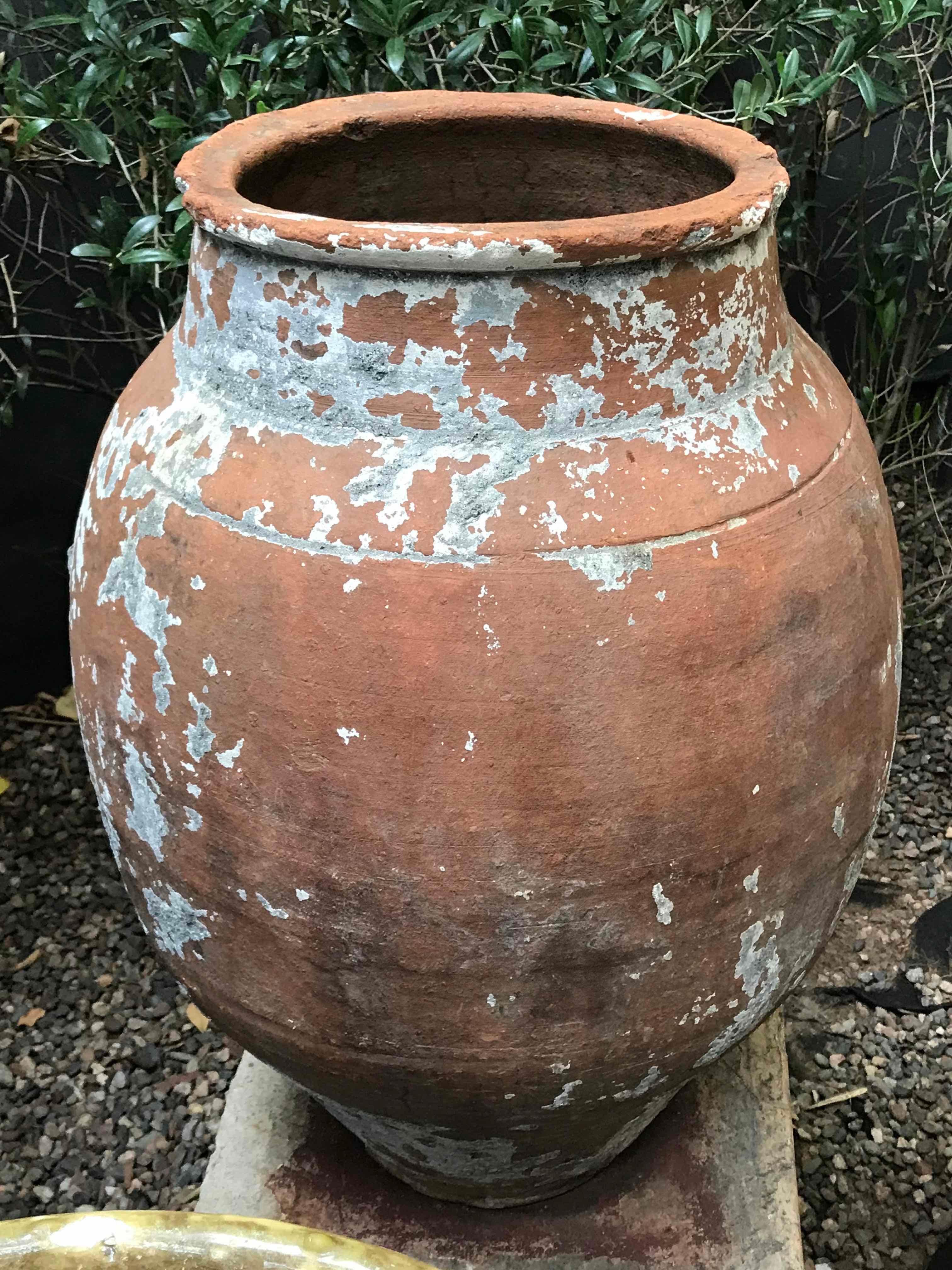 Large 19th century terra cotta pot with tapered base from France.  