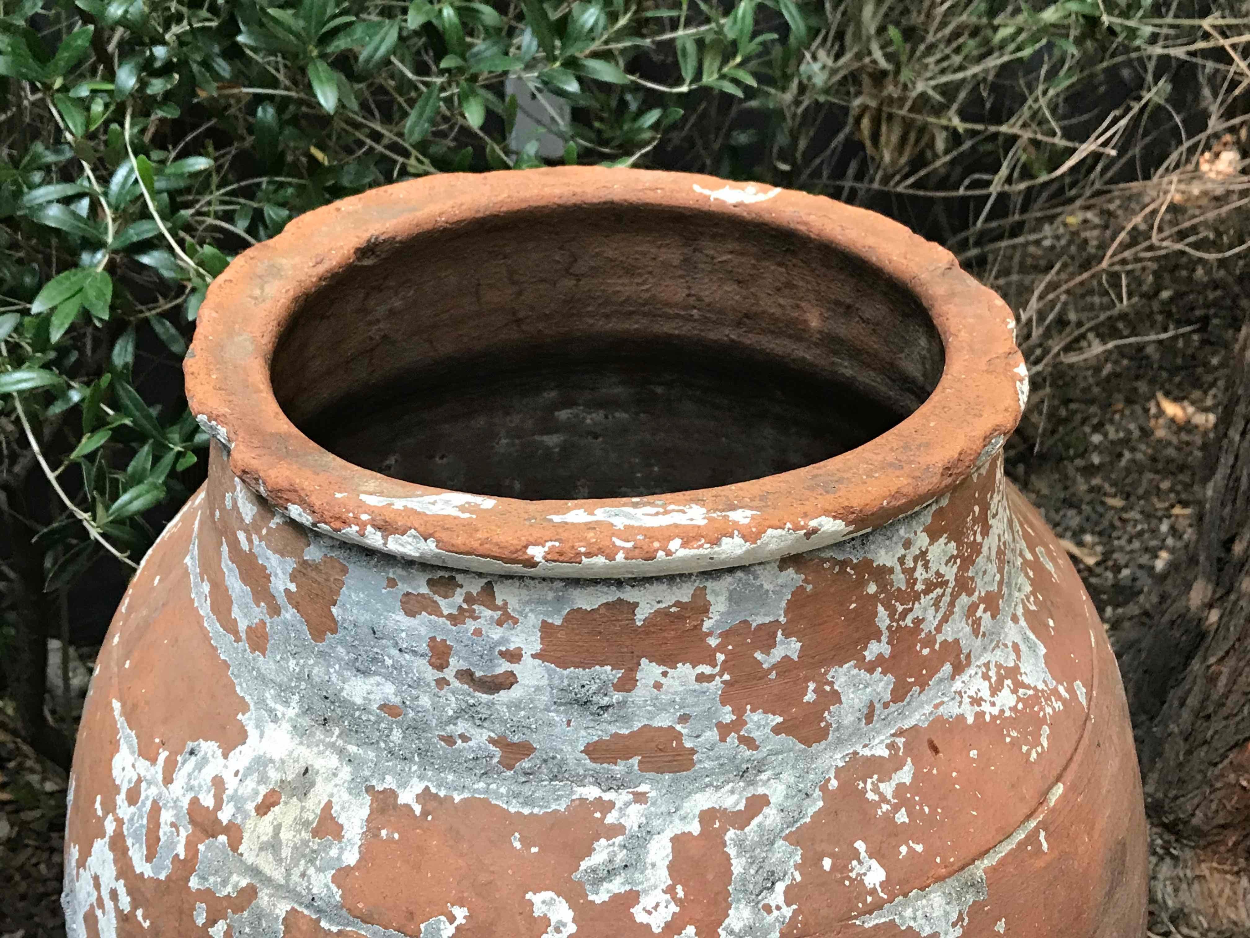 French Large 19th Century Terra Cotta Pot with Tapered Base from France