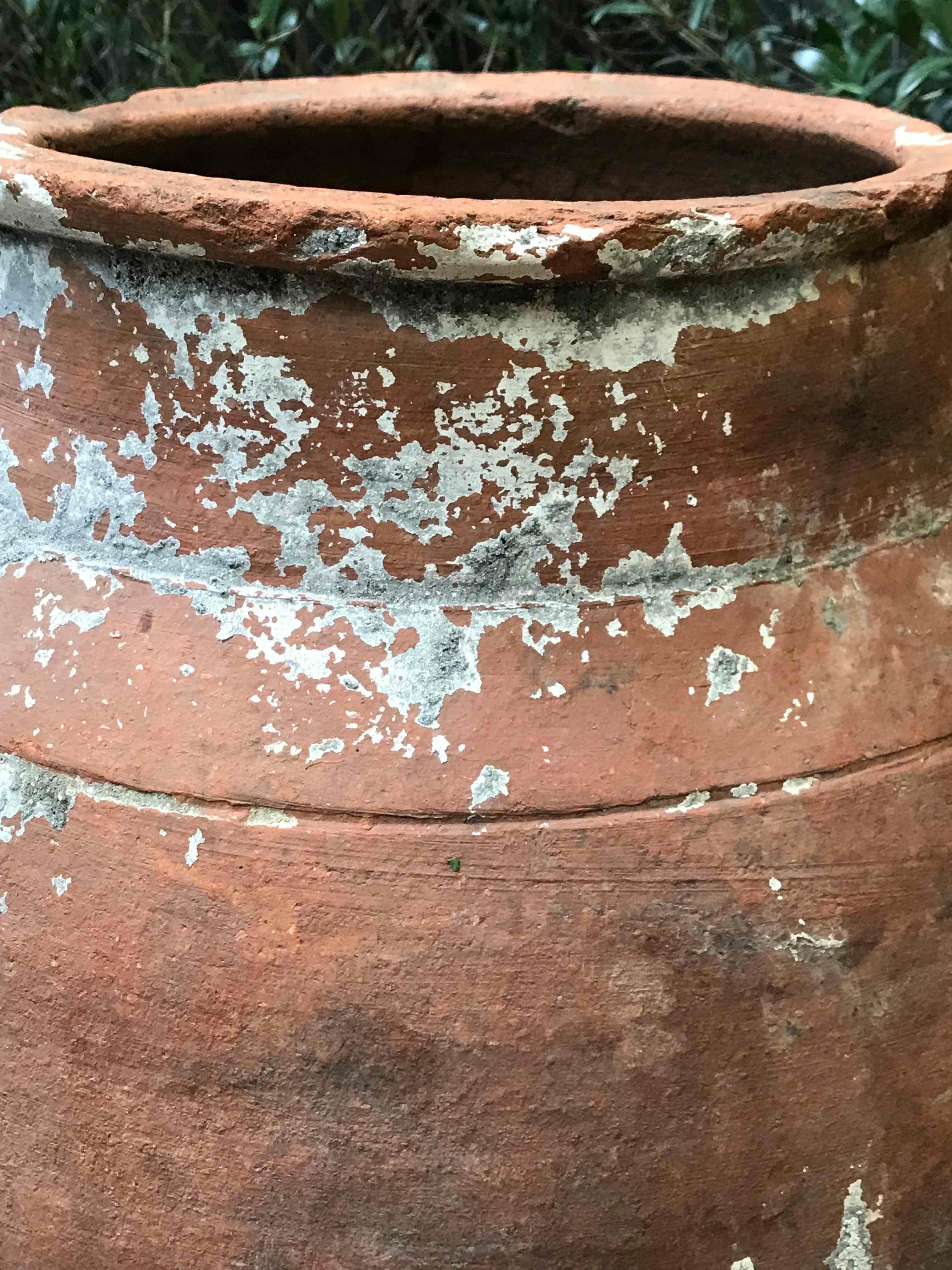 Large 19th Century Terra Cotta Pot with Tapered Base from France In Good Condition In Los Angeles, CA