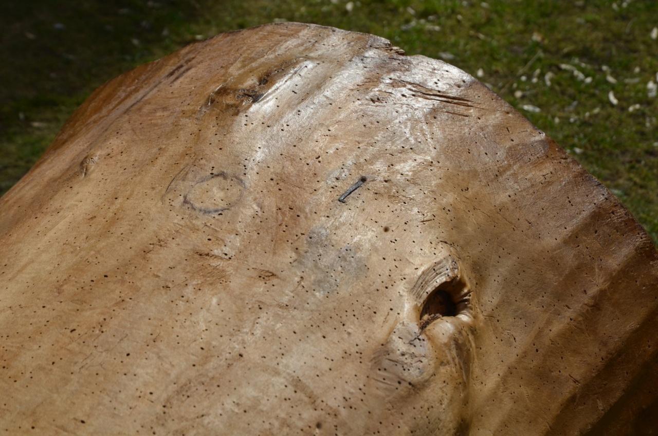 Große 19. Jahrhundert Wood Storage Vessel im Angebot 5