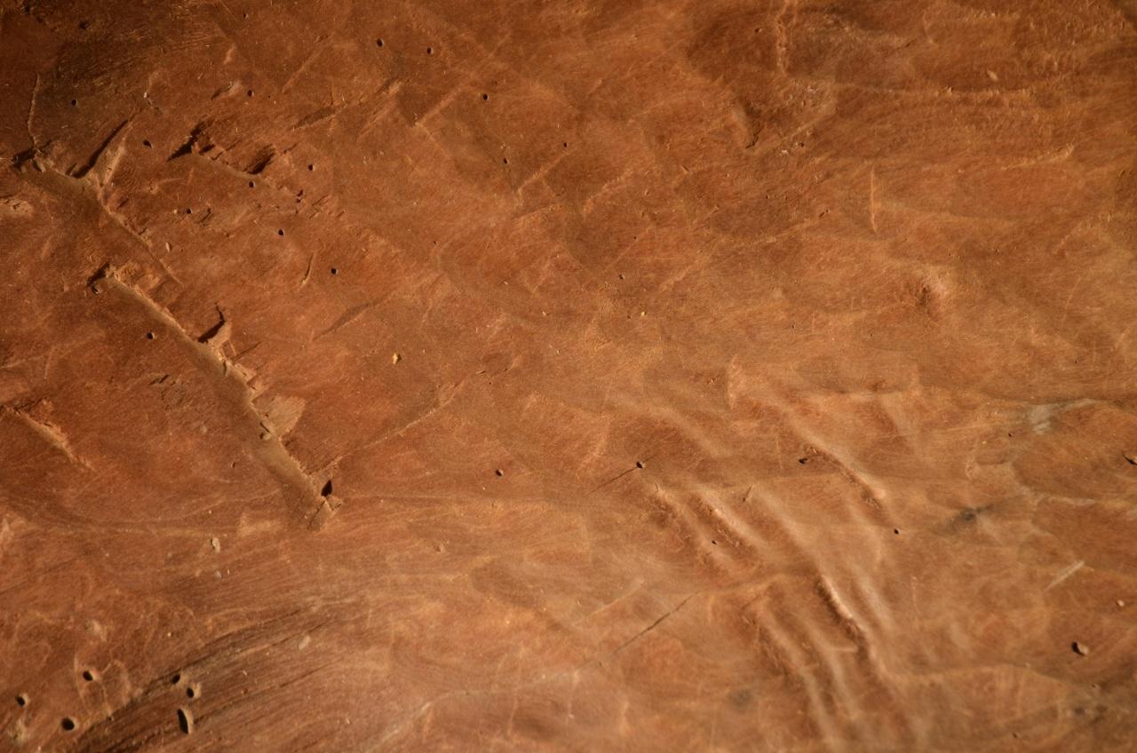 Große 19. Jahrhundert Wood Storage Vessel im Angebot 9